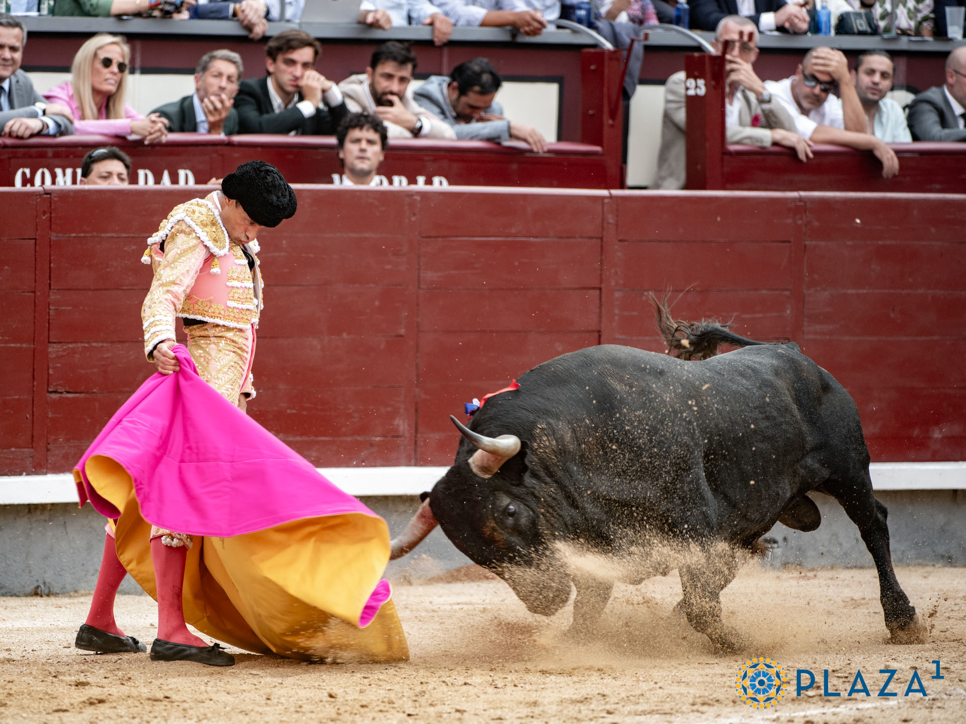 <p>Foto: Alfredo Arévalo / Plaza 1</p>