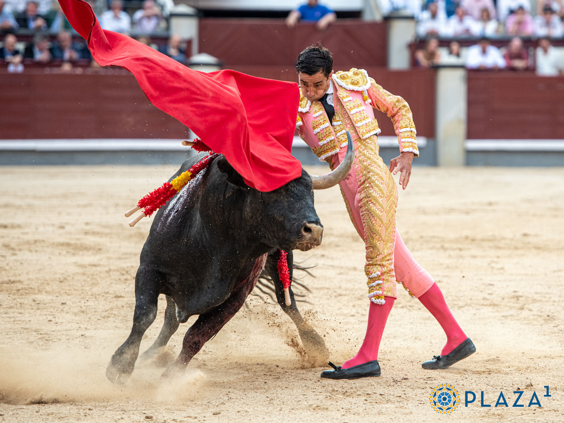 <p>Foto: Alfredo Arévalo / Plaza 1</p>