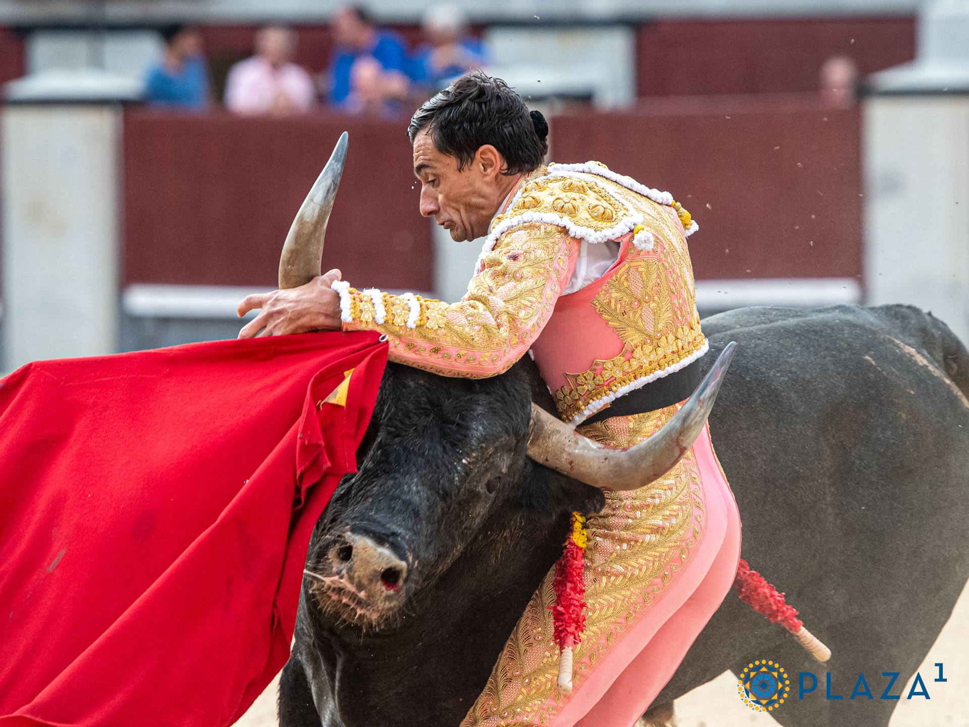 <p>Foto: Alfredo Arévalo / Plaza 1</p>