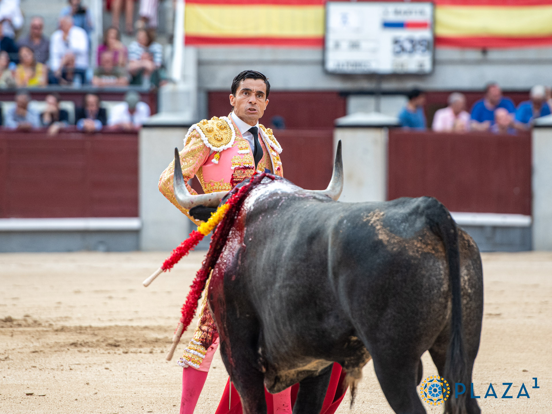 <p>Foto: Alfredo Arévalo / Plaza 1</p>