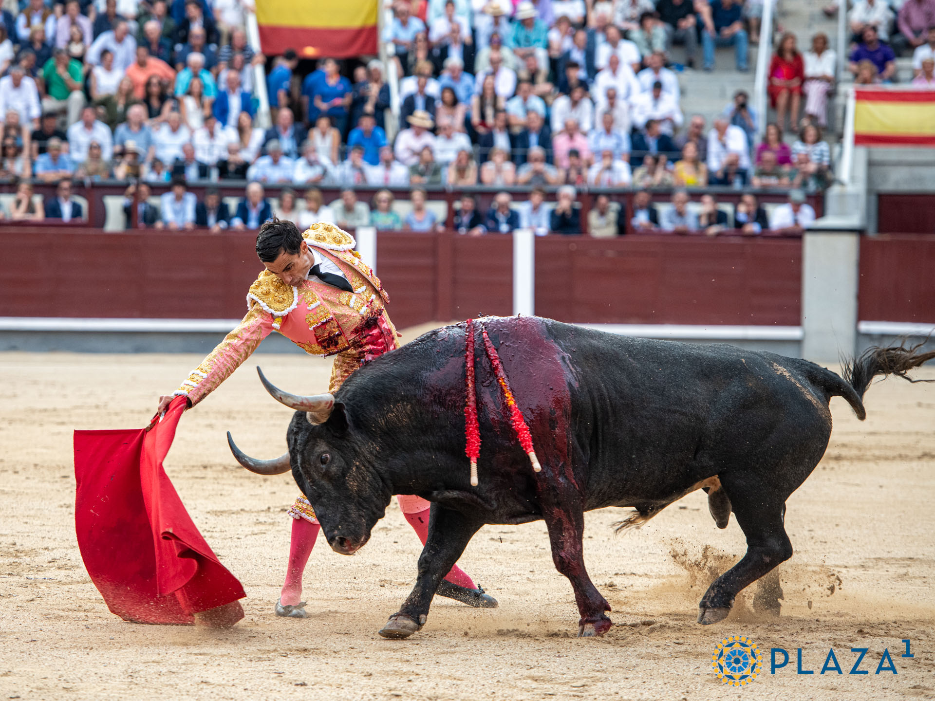 <p>Foto: Alfredo Arévalo / Plaza 1</p>