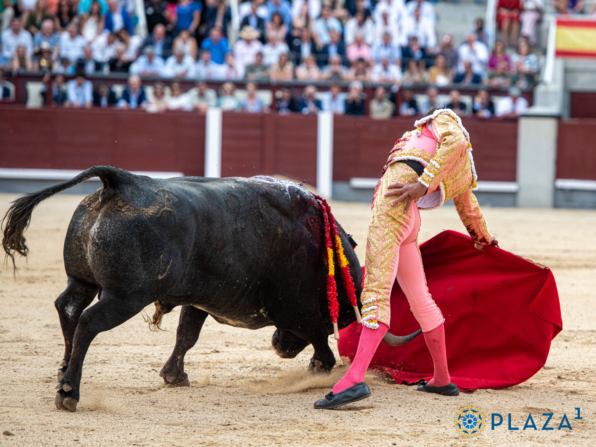 <p>Foto: Alfredo Arévalo / Plaza 1</p>