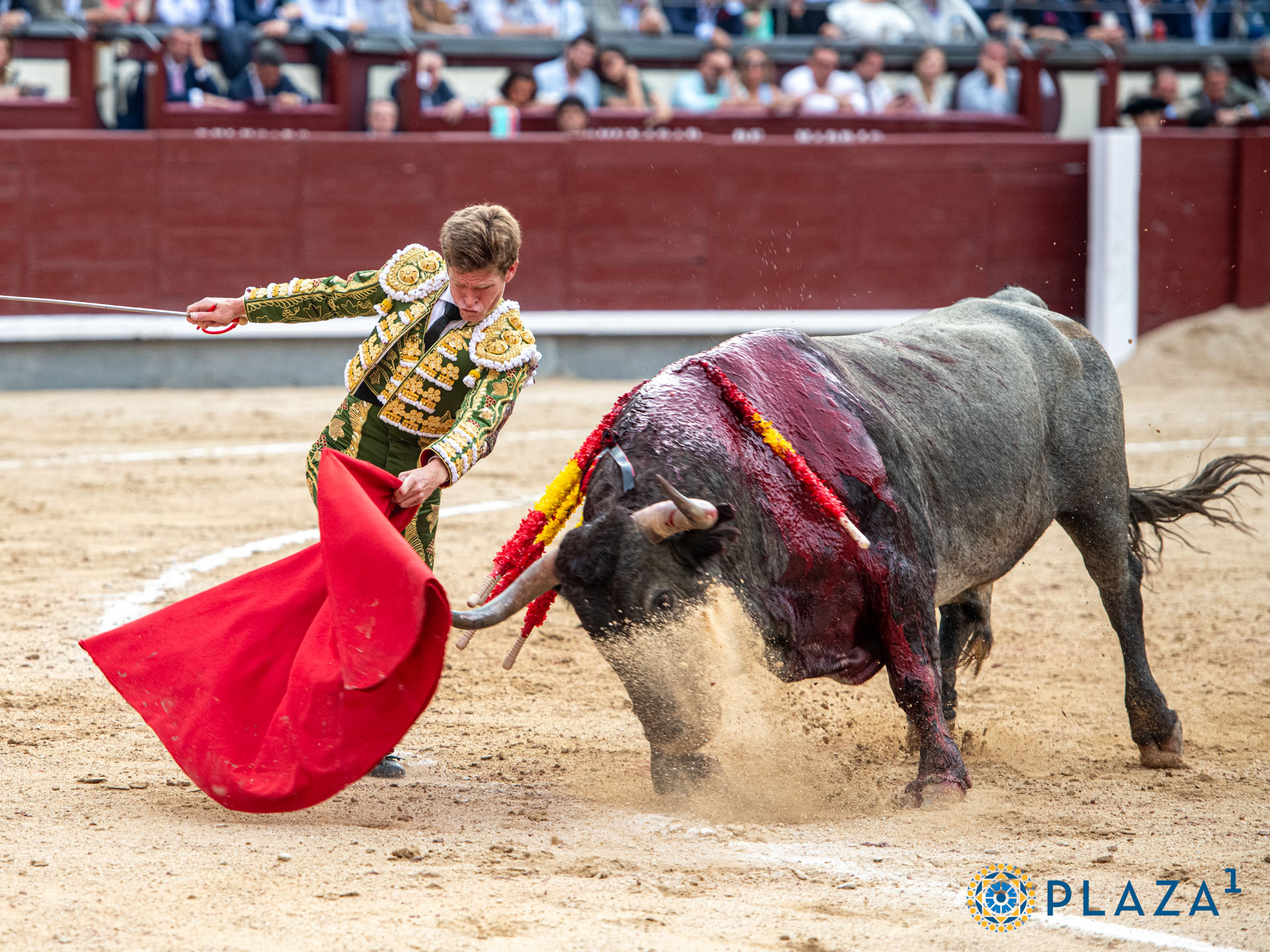 <p>Foto: Alfredo Arévalo / Plaza 1</p>