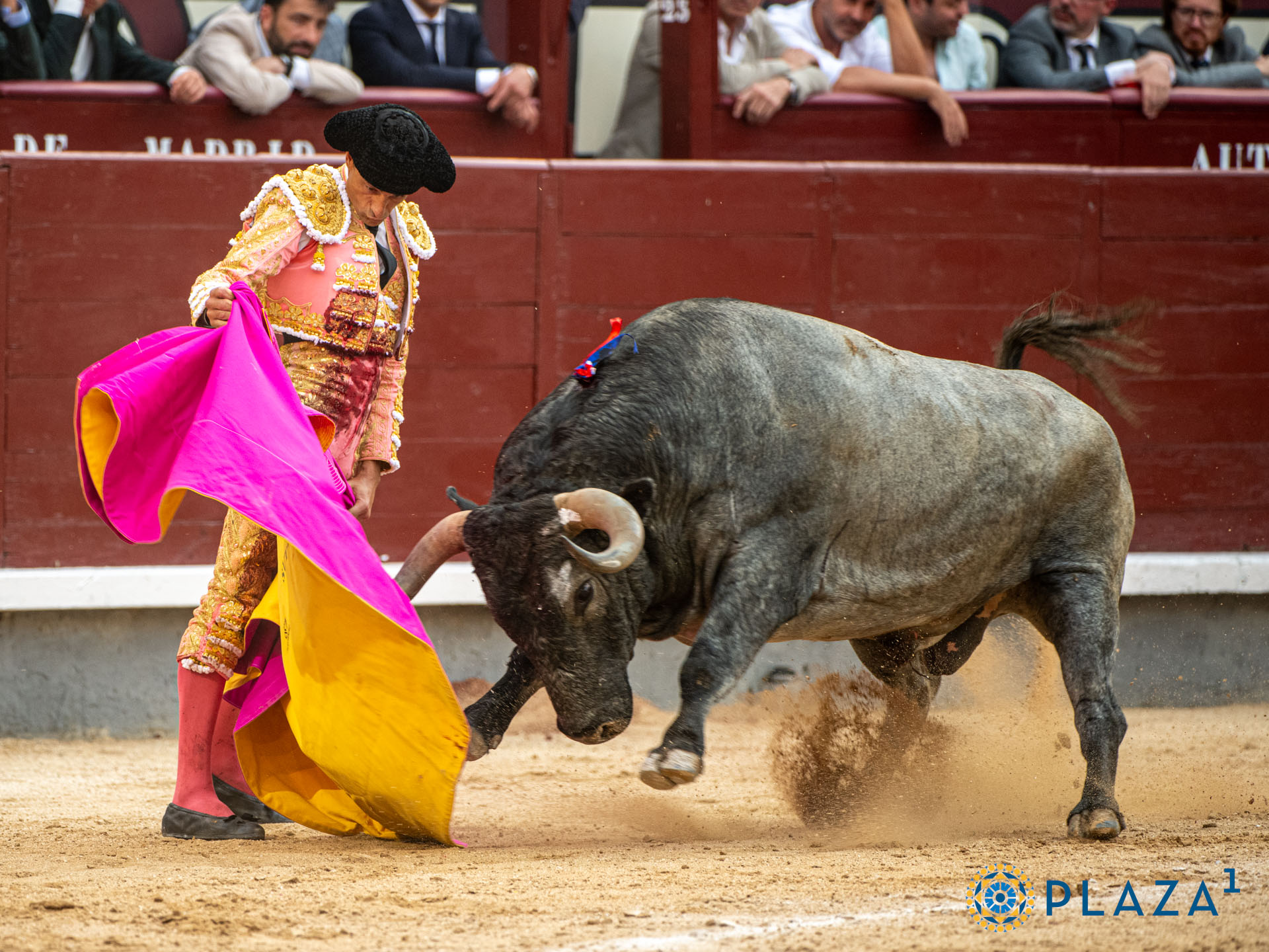 <p>Foto: Alfredo Arévalo / Plaza 1</p>