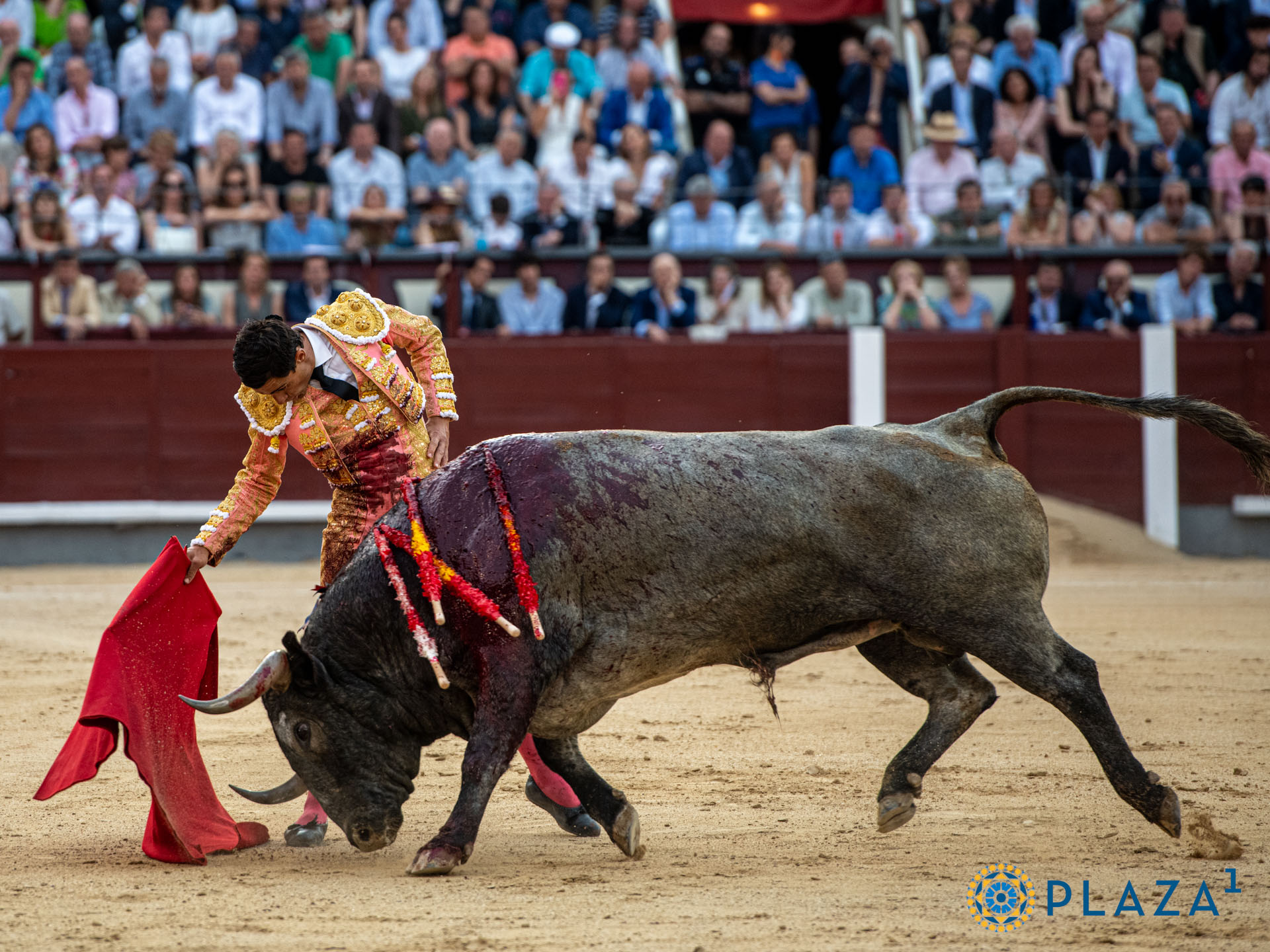 <p>Foto: Alfredo Arévalo / Plaza 1</p>