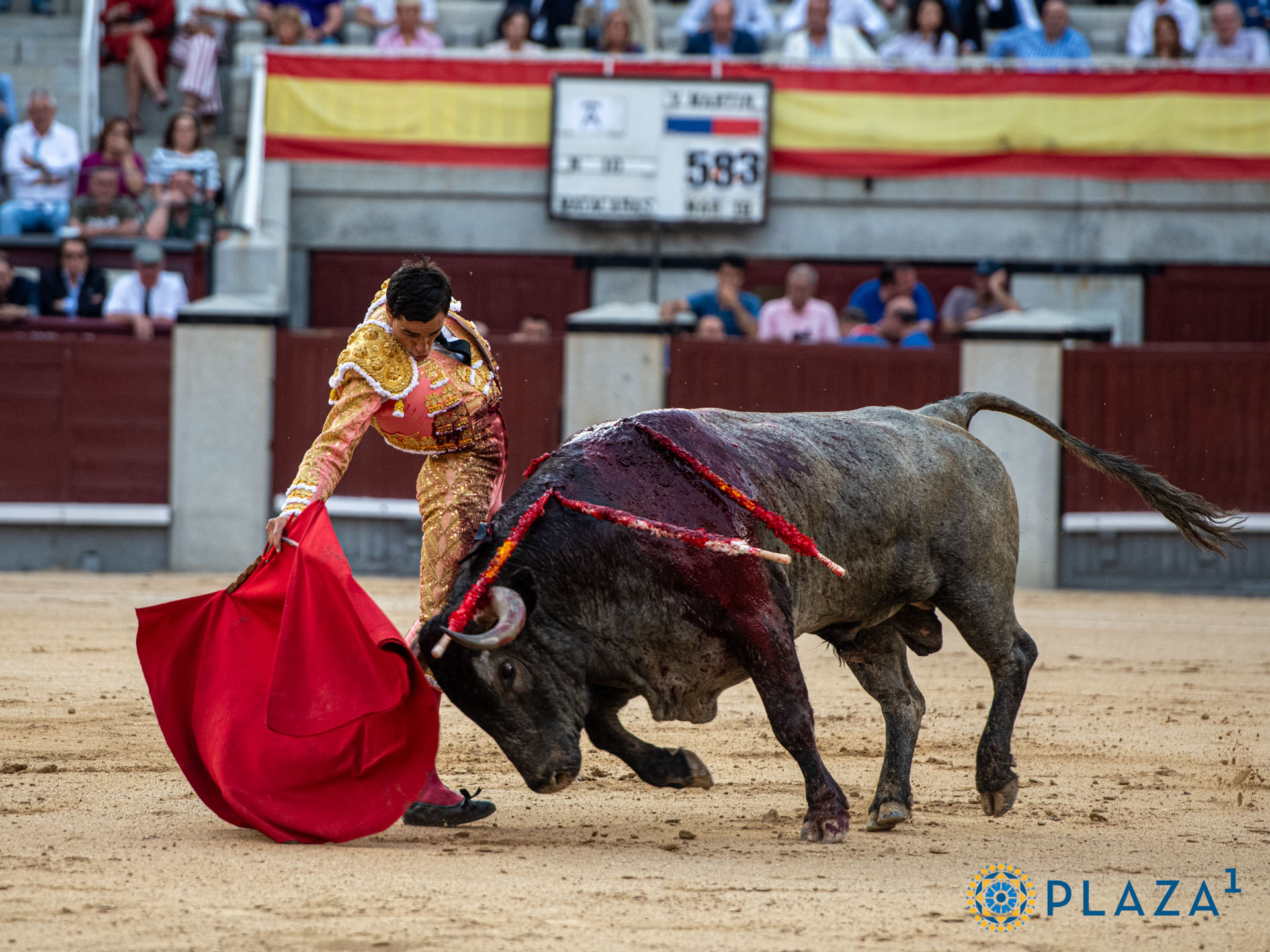 <p>Foto: Alfredo Arévalo / Plaza 1</p>