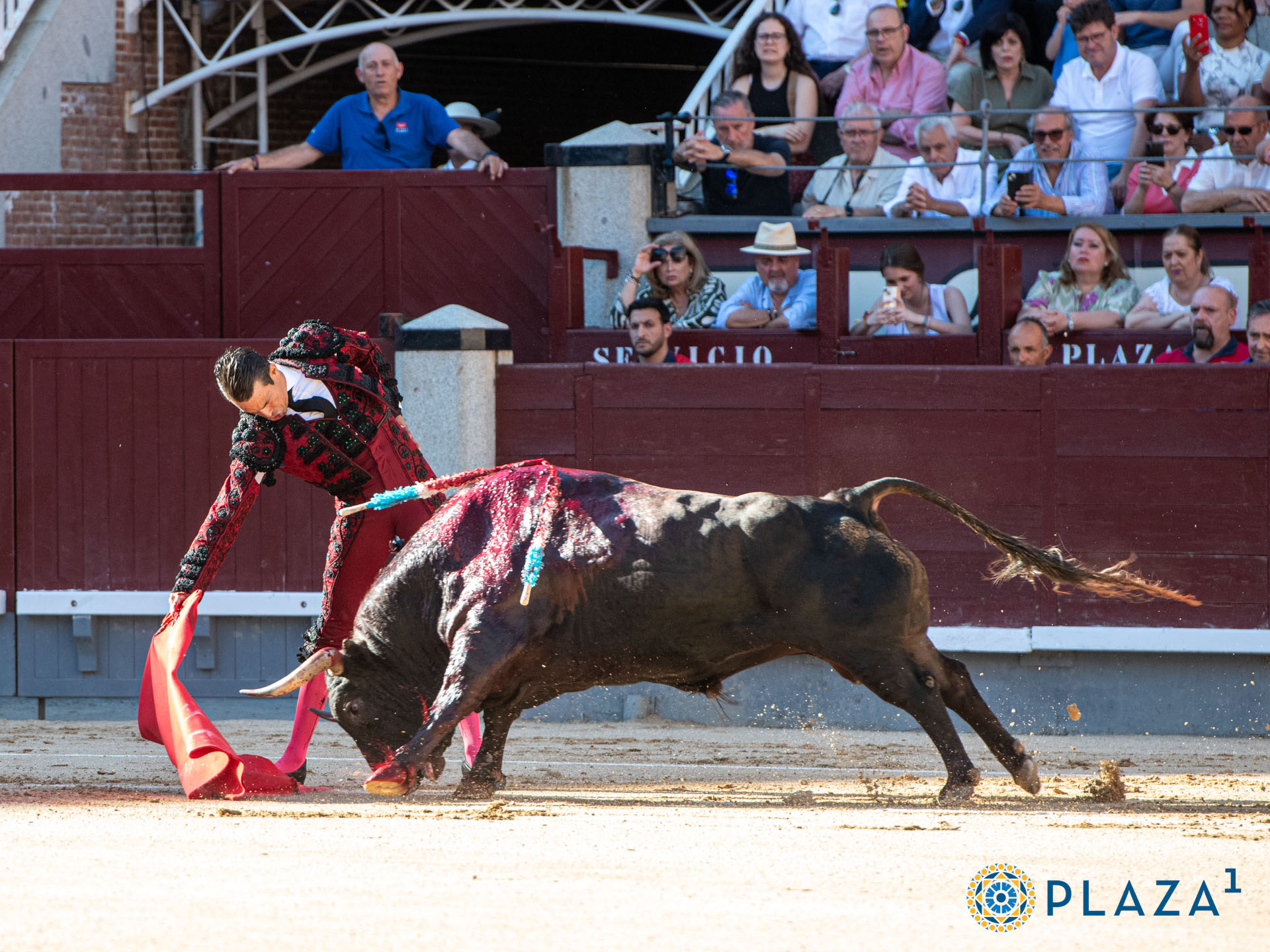 <p>Foto: Alfredo Arévalo / Plaza 1</p>