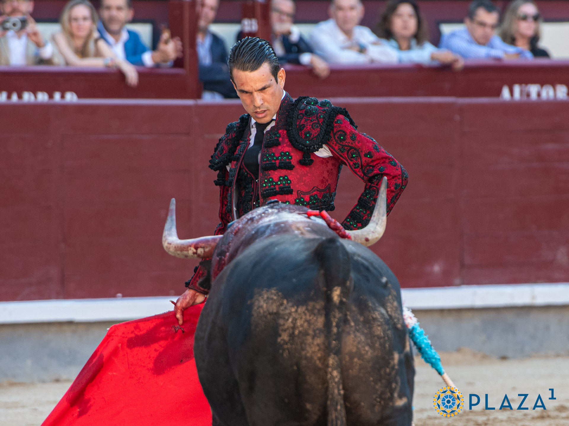 <p>Foto: Alfredo Arévalo / Plaza 1</p>