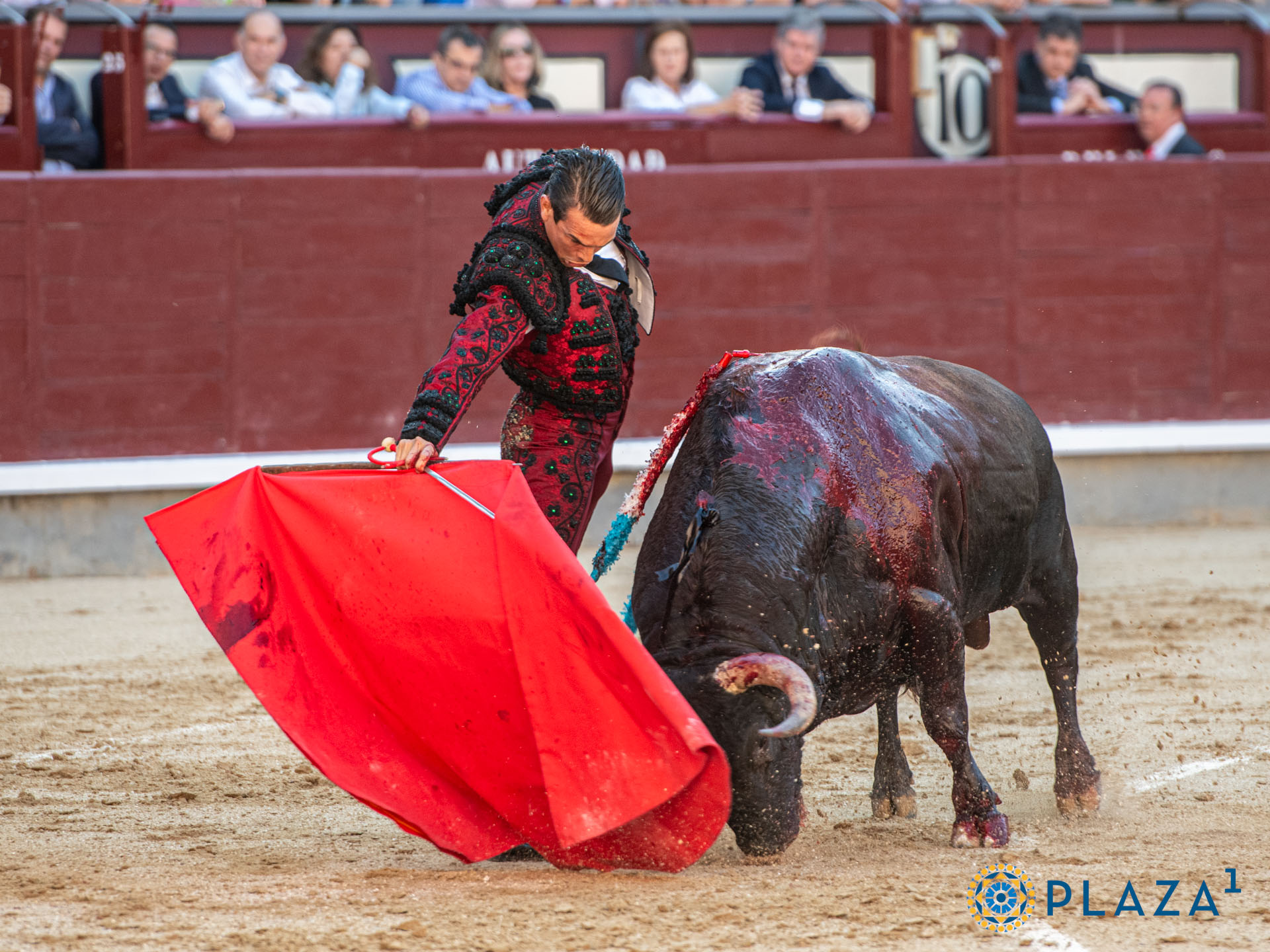 <p>Foto: Alfredo Arévalo / Plaza 1</p>