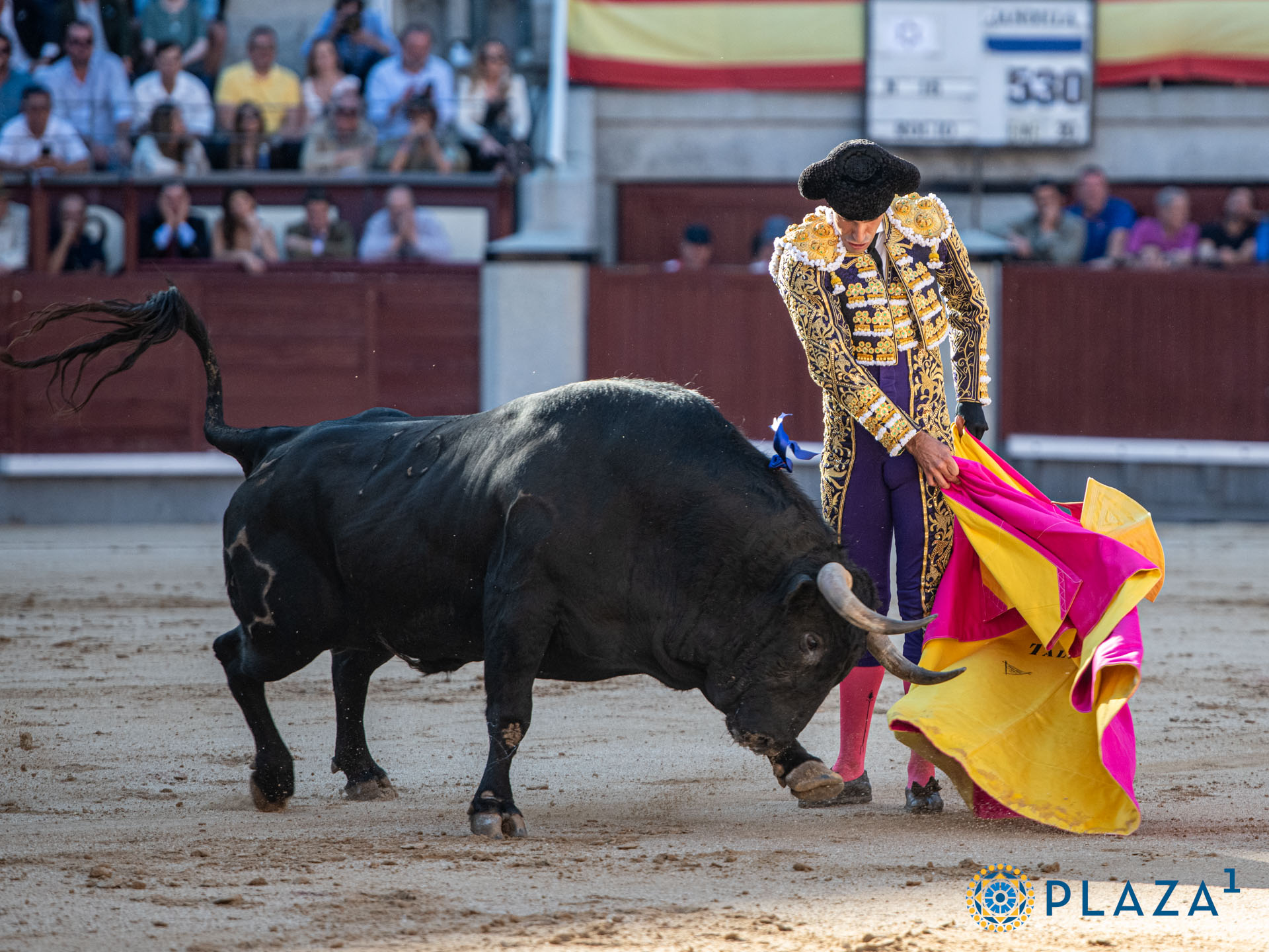 <p>Foto: Alfredo Arévalo / Plaza 1</p>