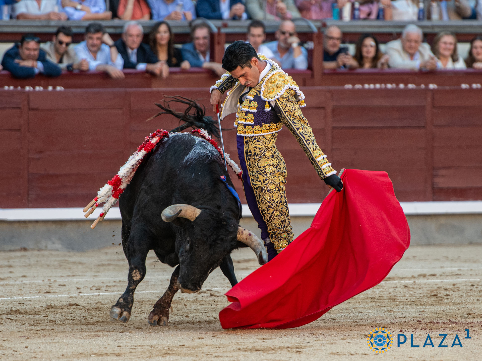 <p>Foto: Alfredo Arévalo / Plaza 1</p>