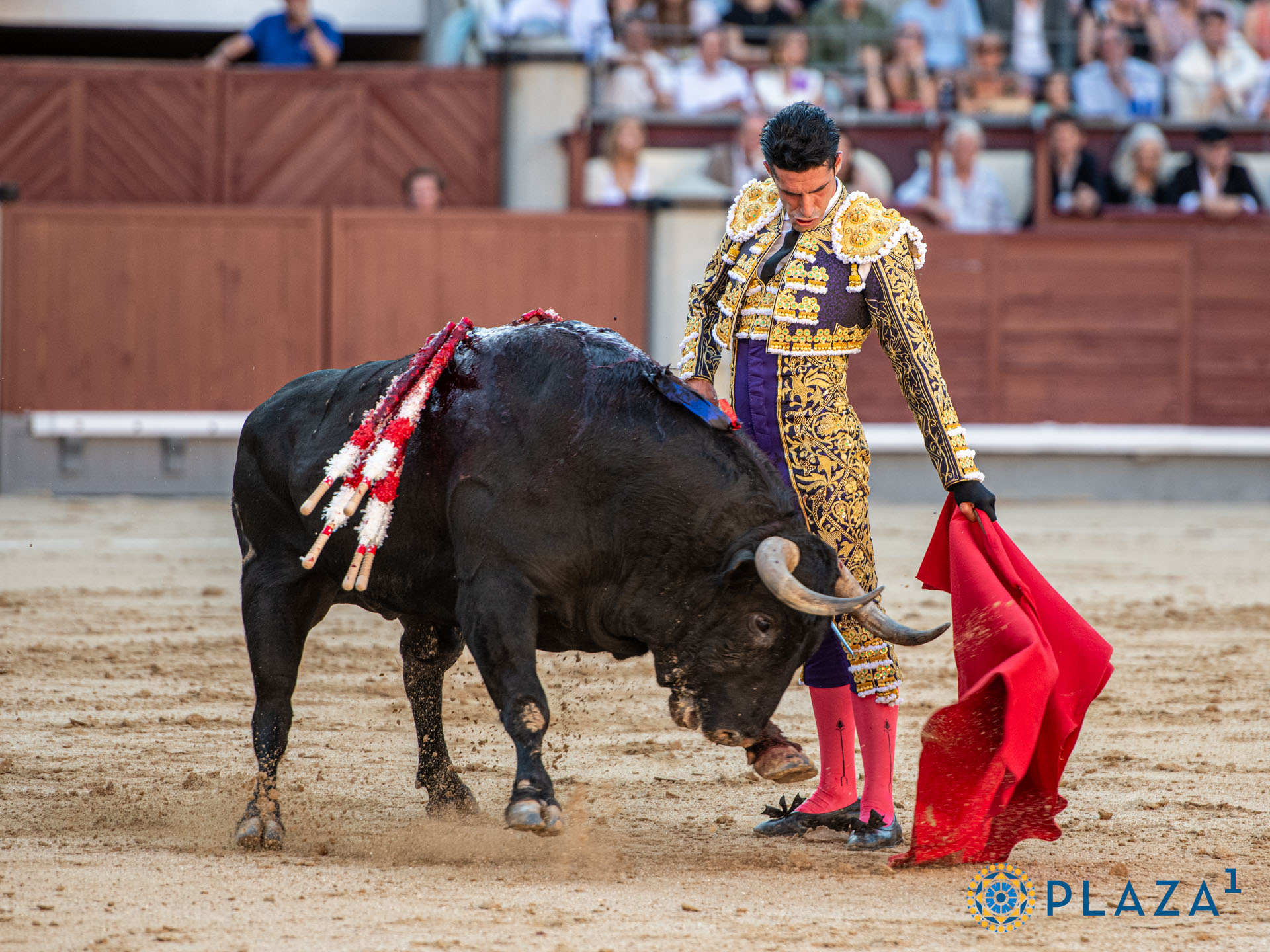 <p>Foto: Alfredo Arévalo / Plaza 1</p>