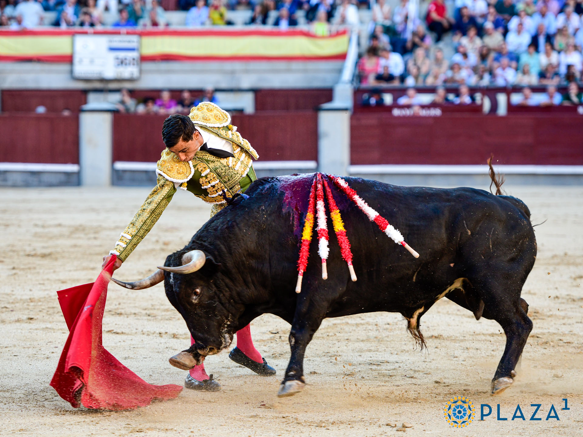 <p>Foto: Alfredo Arévalo / Plaza 1</p>