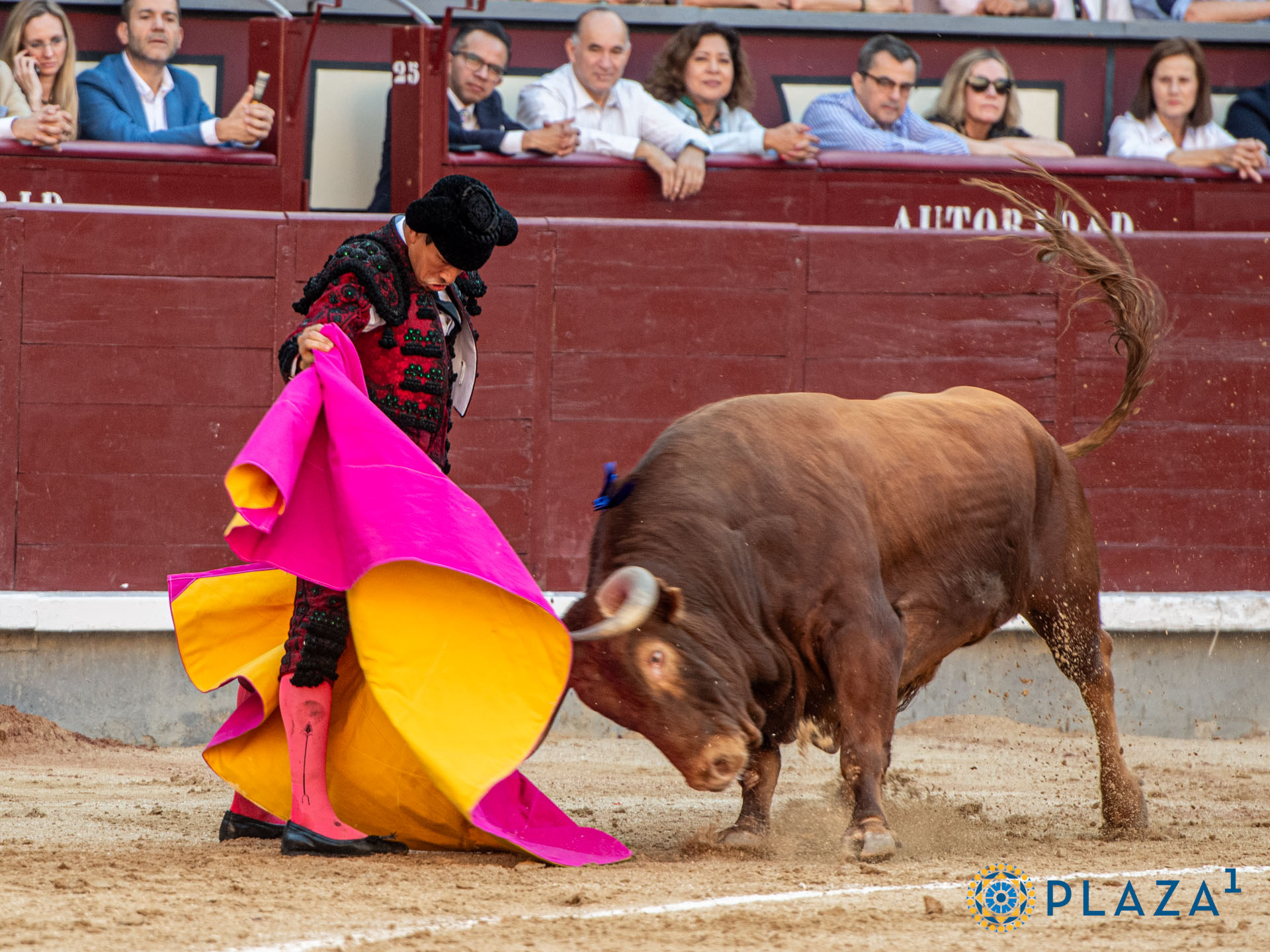 <p>Foto: Alfredo Arévalo / Plaza 1</p>