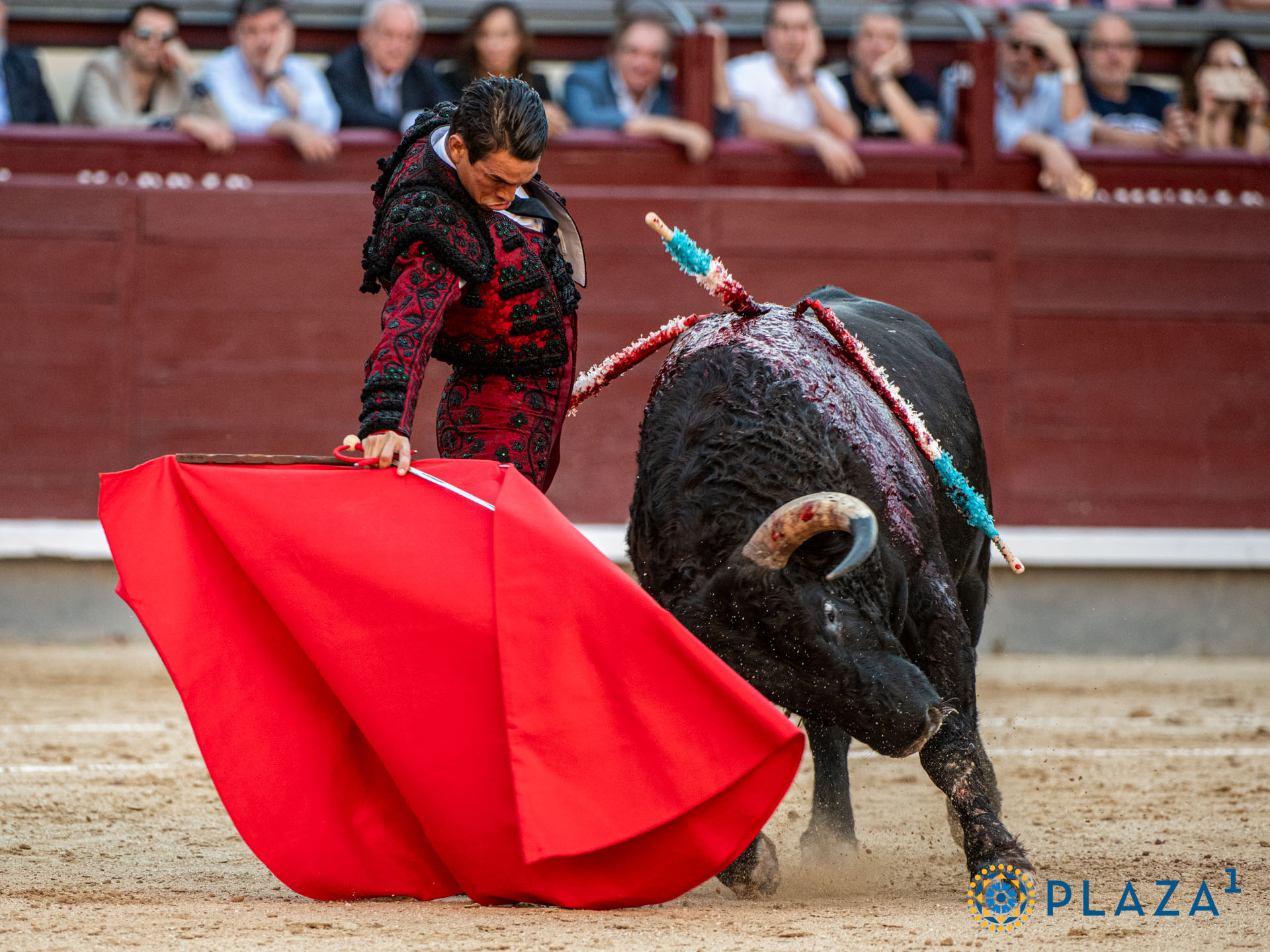 <p>Foto: Alfredo Arévalo / Plaza 1</p>