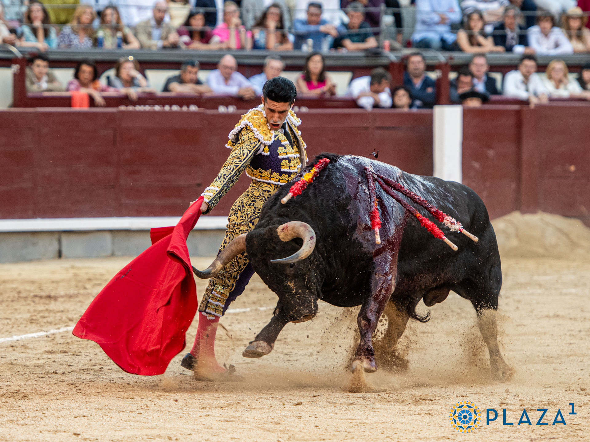 <p>Foto: Alfredo Arévalo / Plaza 1</p>