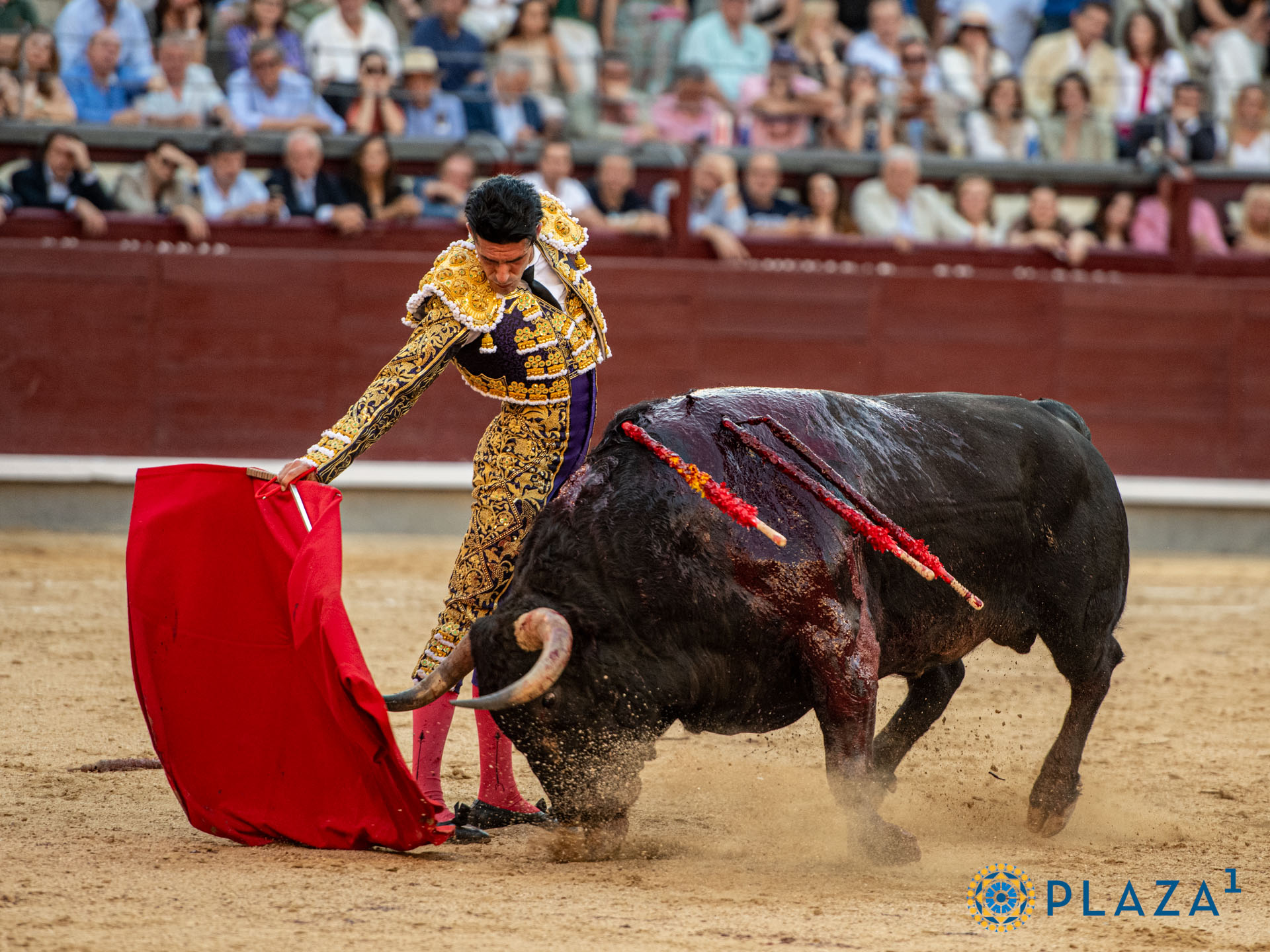 <p>Foto: Alfredo Arévalo / Plaza 1</p>
