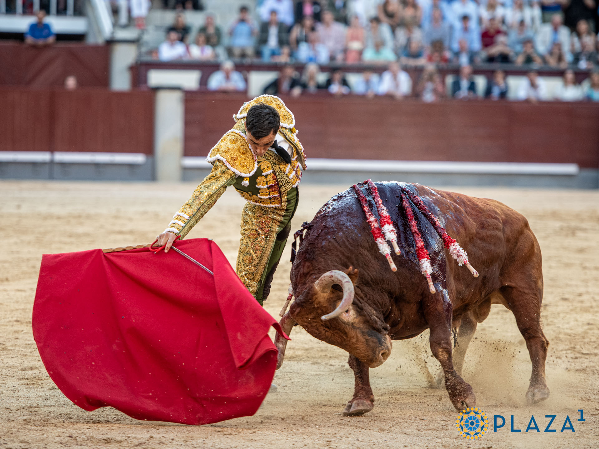 <p>Foto: Alfredo Arévalo / Plaza 1</p>