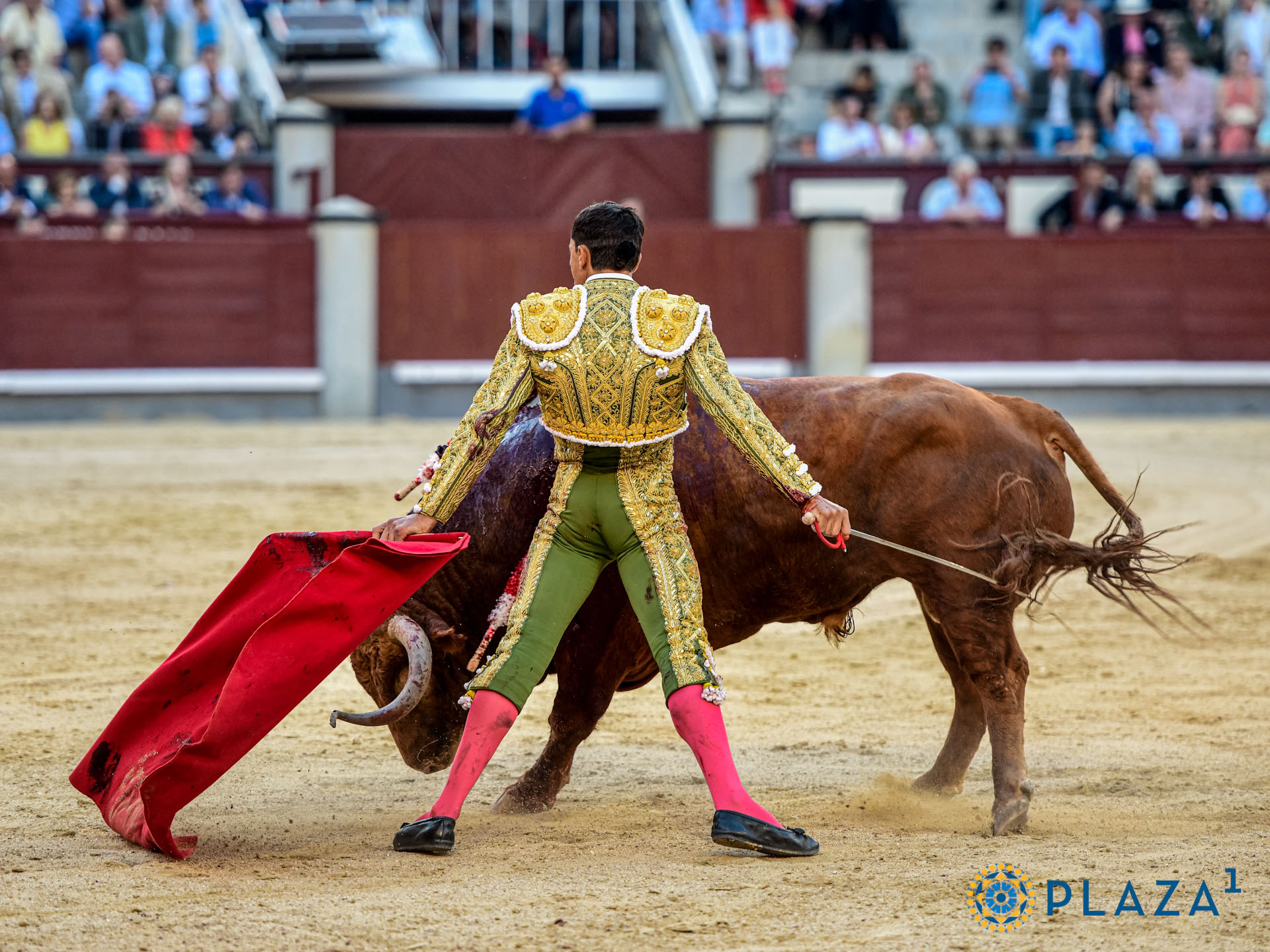 <p>Foto: Alfredo Arévalo / Plaza 1</p>