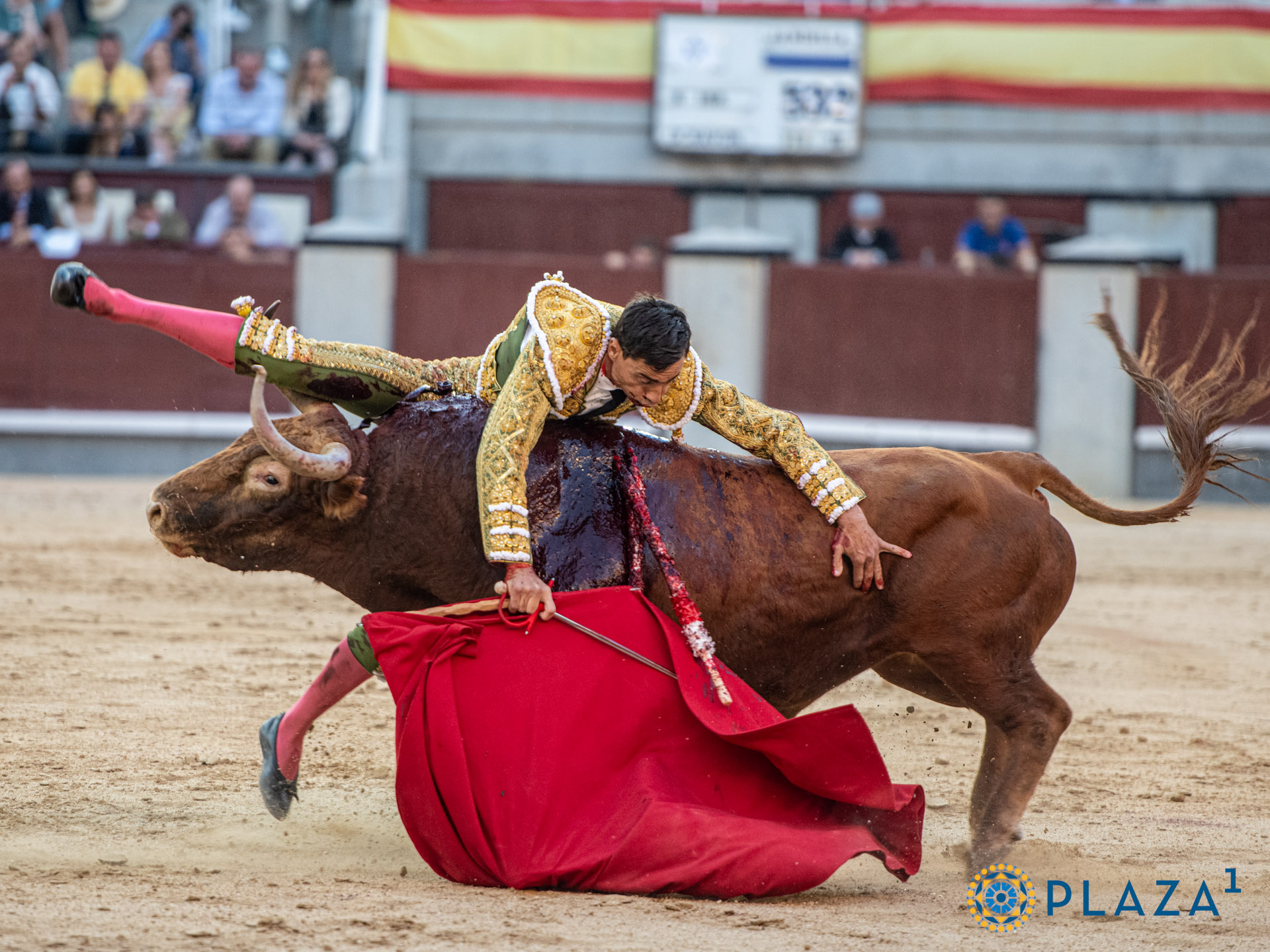 <p>Foto: Alfredo Arévalo / Plaza 1</p>