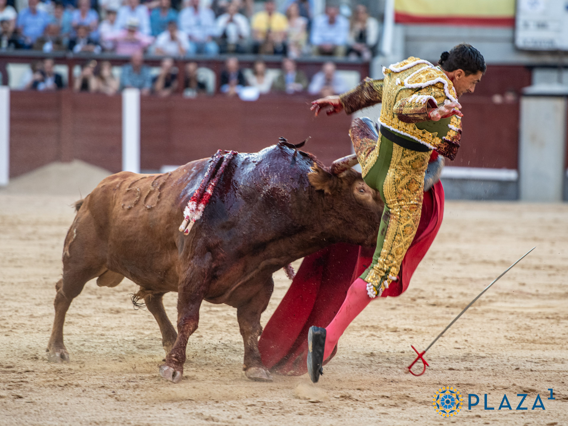 <p>Foto: Alfredo Arévalo / Plaza 1</p>