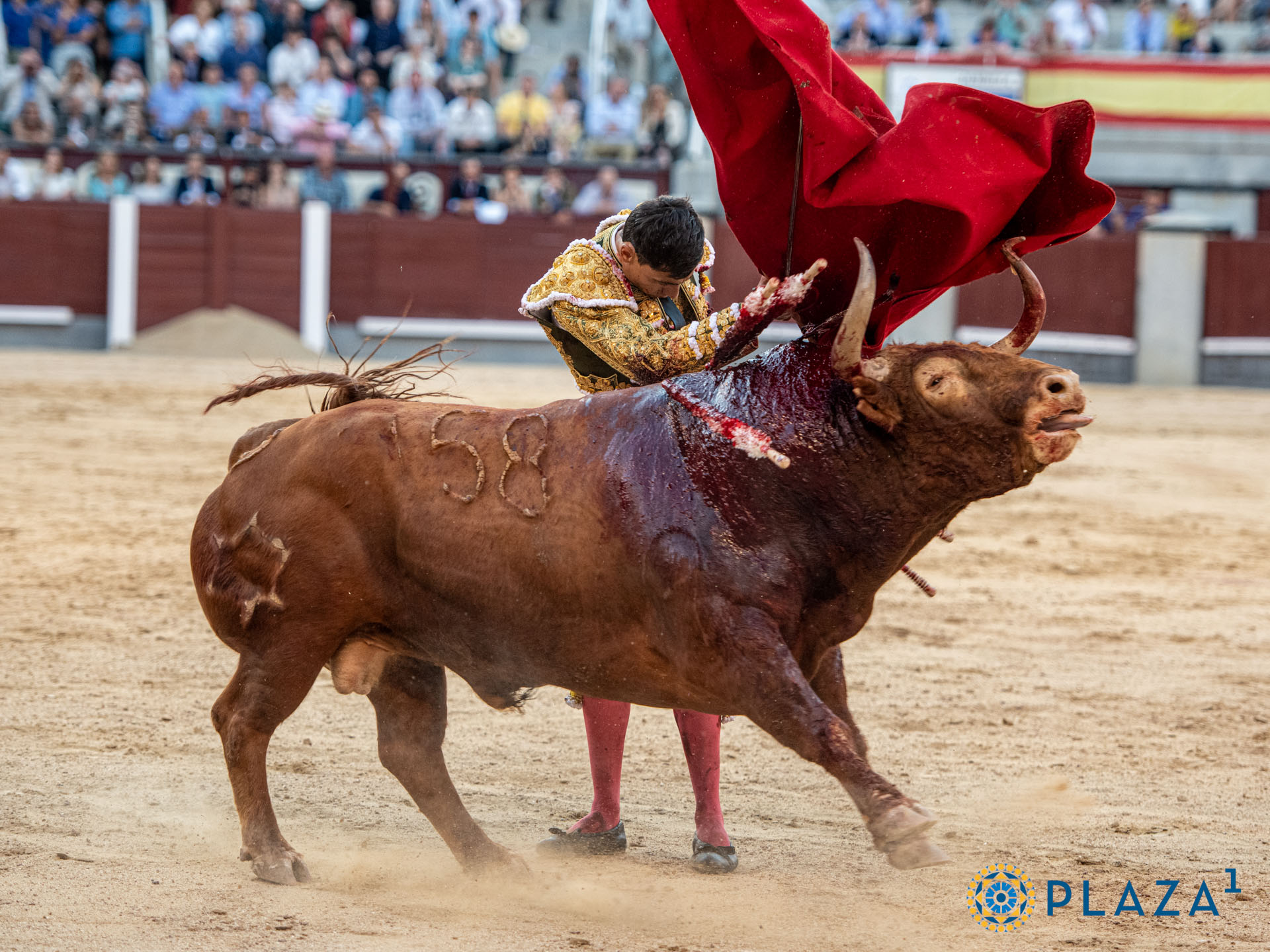 <p>Foto: Alfredo Arévalo / Plaza 1</p>