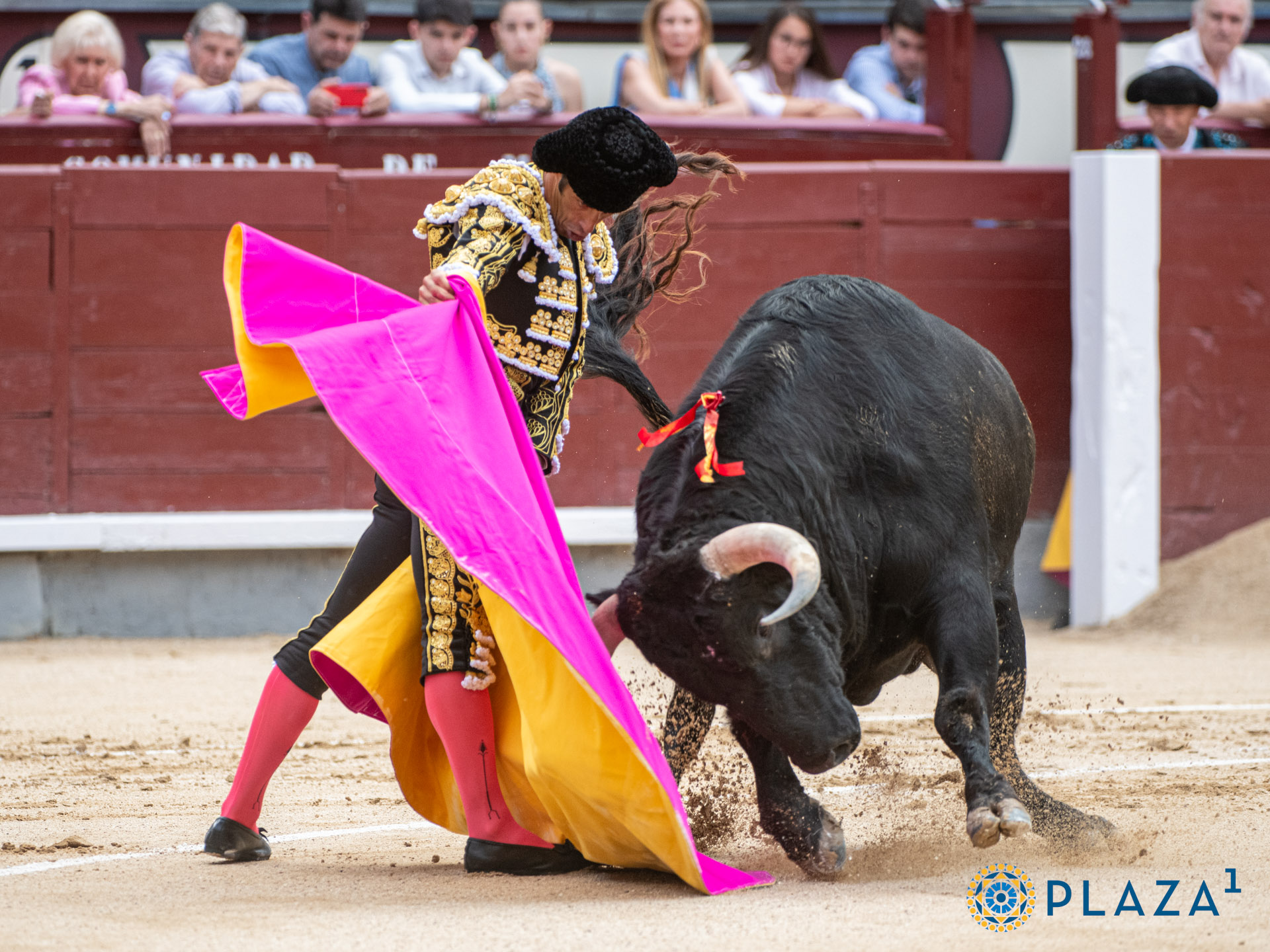 <p>Foto: Alfredo Arévalo / Plaza 1</p>