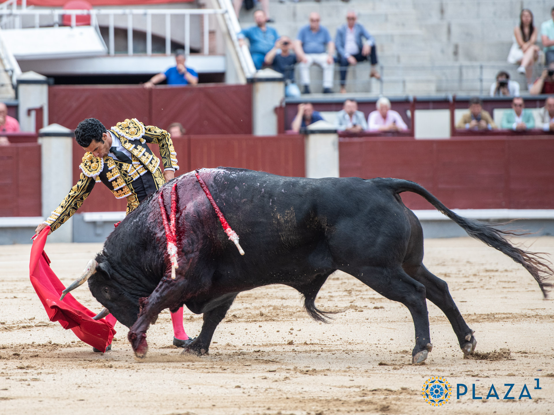 <p>Foto: Alfredo Arévalo / Plaza 1</p>
