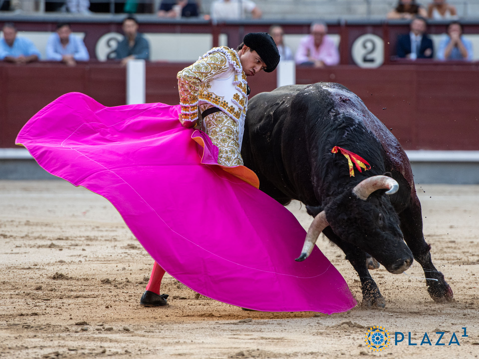 <p>Foto: Alfredo Arévalo / Plaza 1</p>