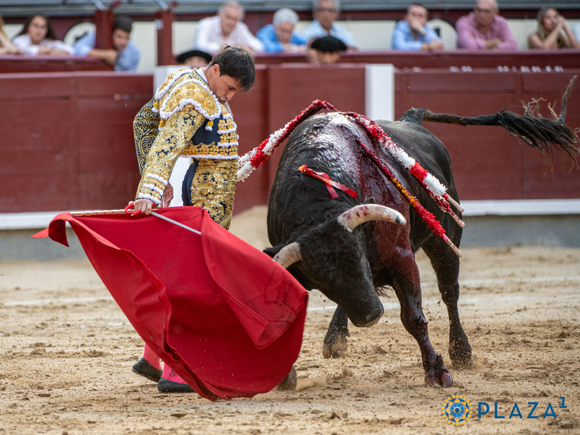 <p>Foto: Alfredo Arévalo / Plaza 1</p>