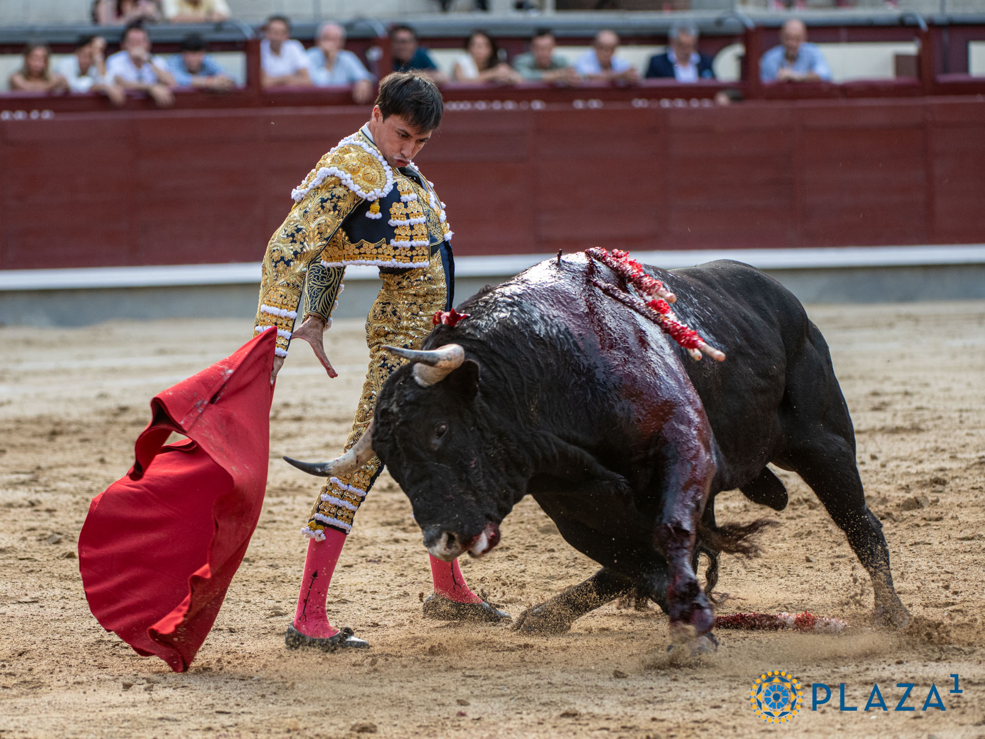 <p>Foto: Alfredo Arévalo / Plaza 1</p>