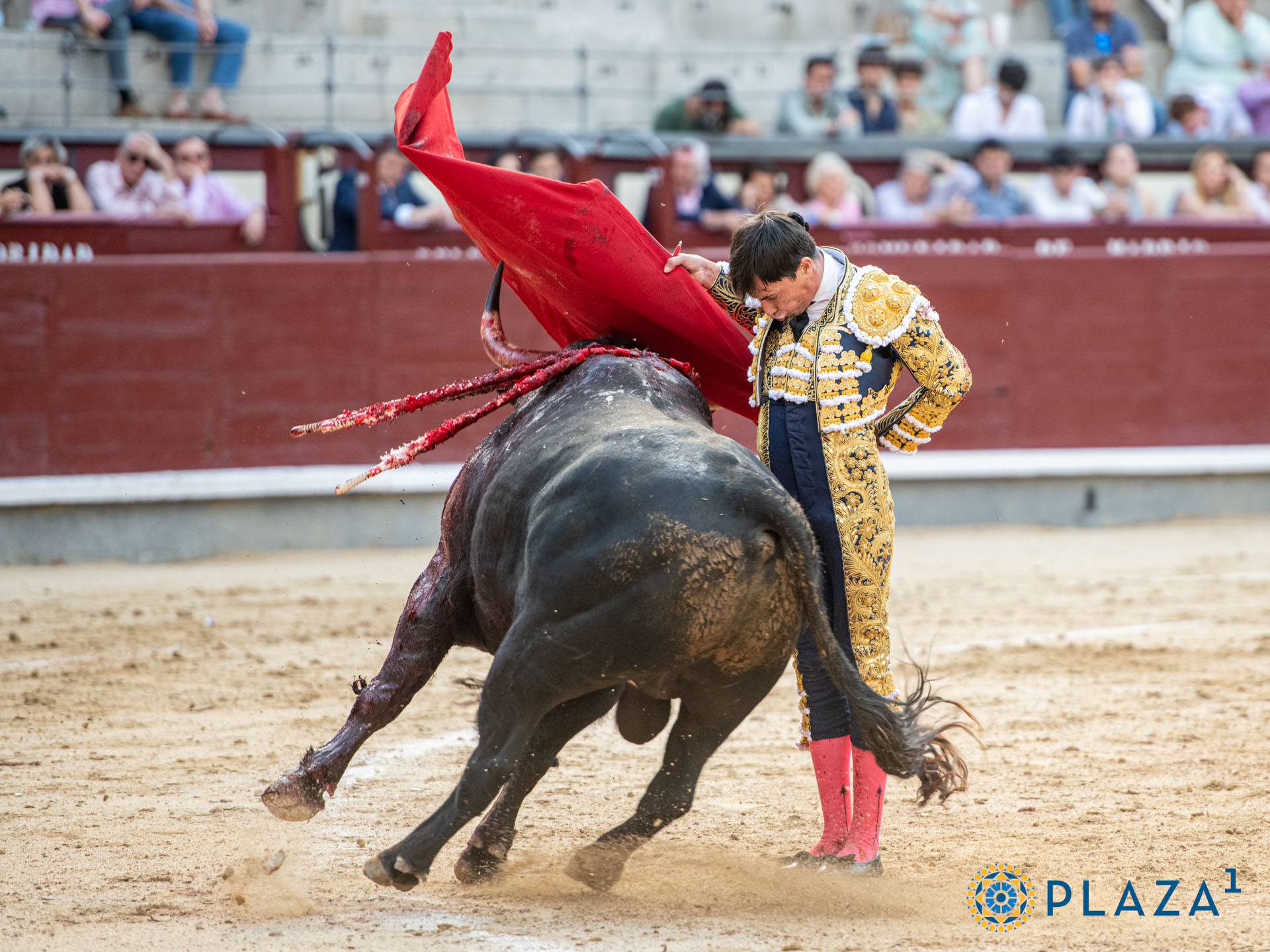<p>Foto: Alfredo Arévalo / Plaza 1</p>