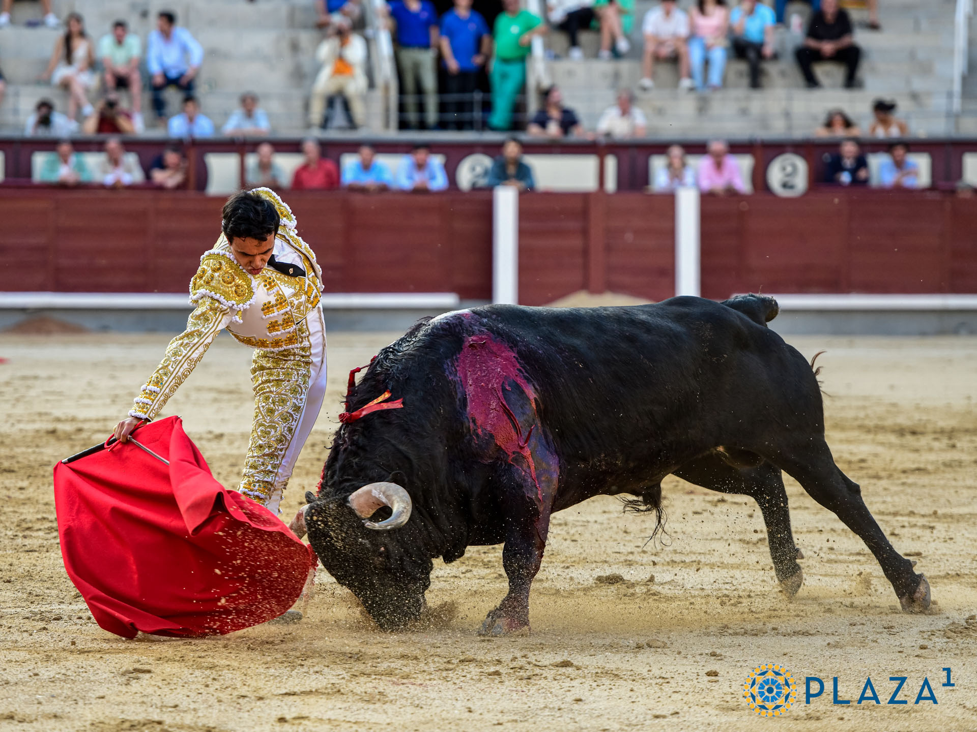 <p>Foto: Alfredo Arévalo / Plaza 1</p>