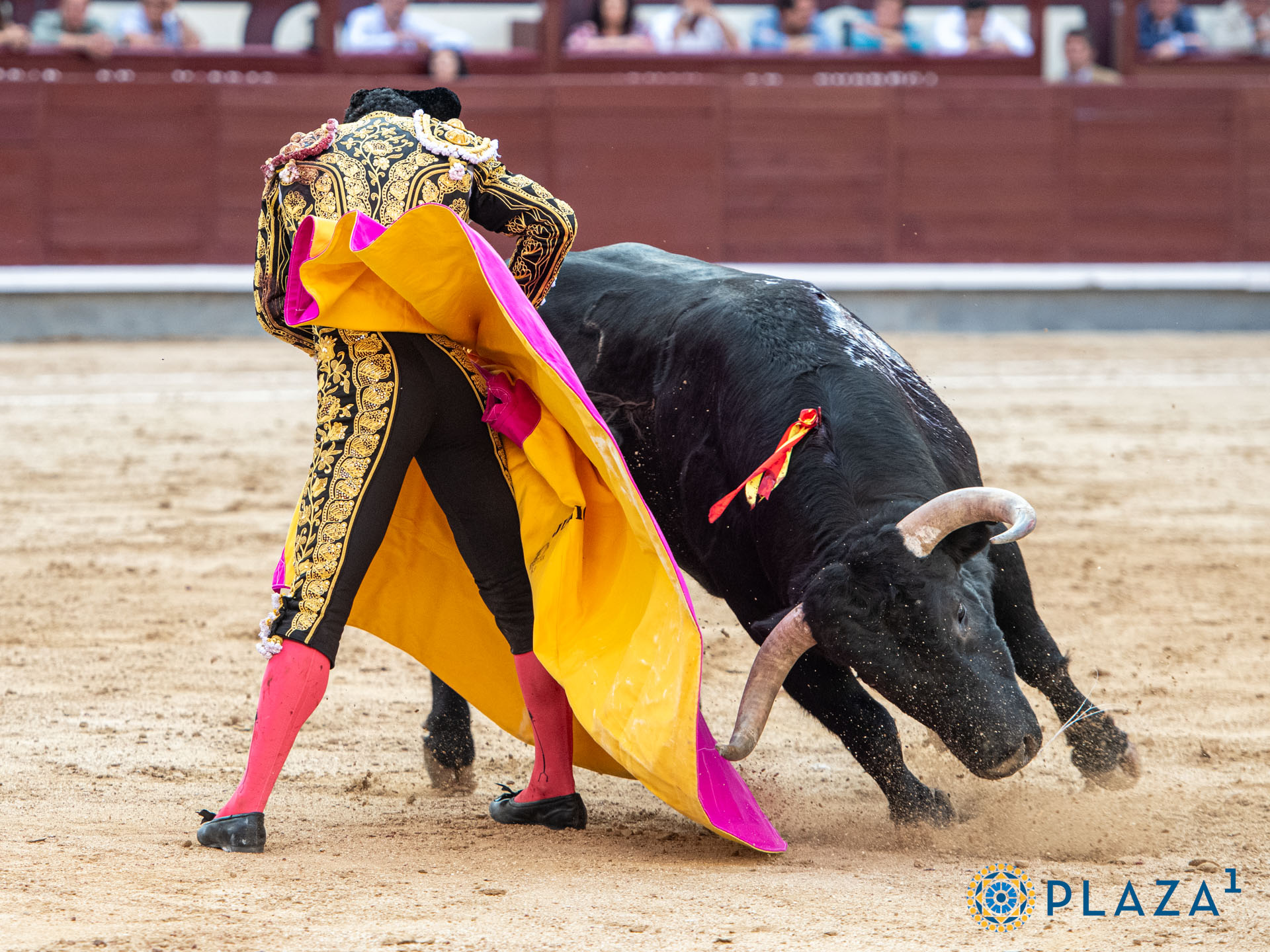 <p>Foto: Alfredo Arévalo / Plaza 1</p>