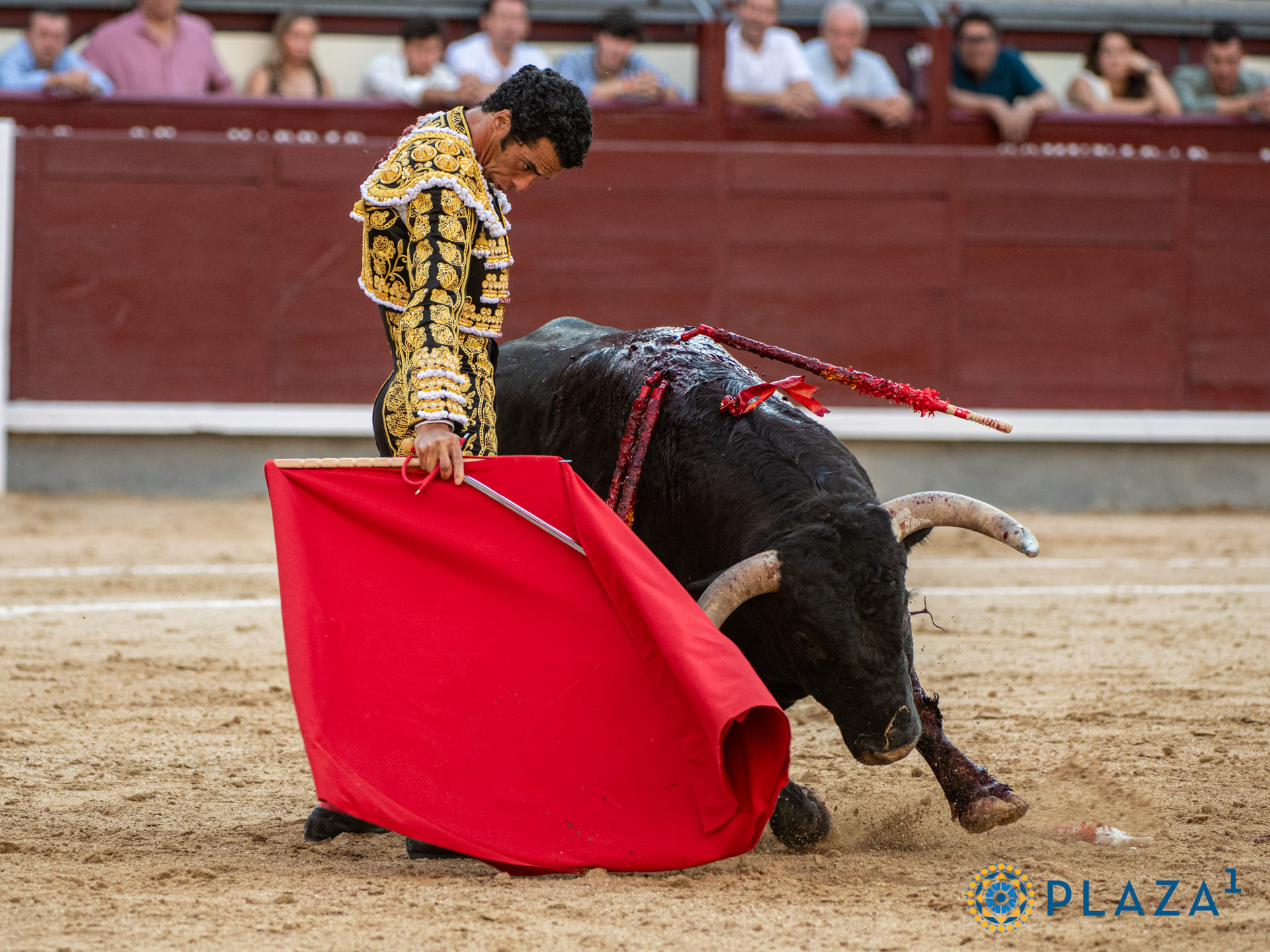 <p>Foto: Alfredo Arévalo / Plaza 1</p>