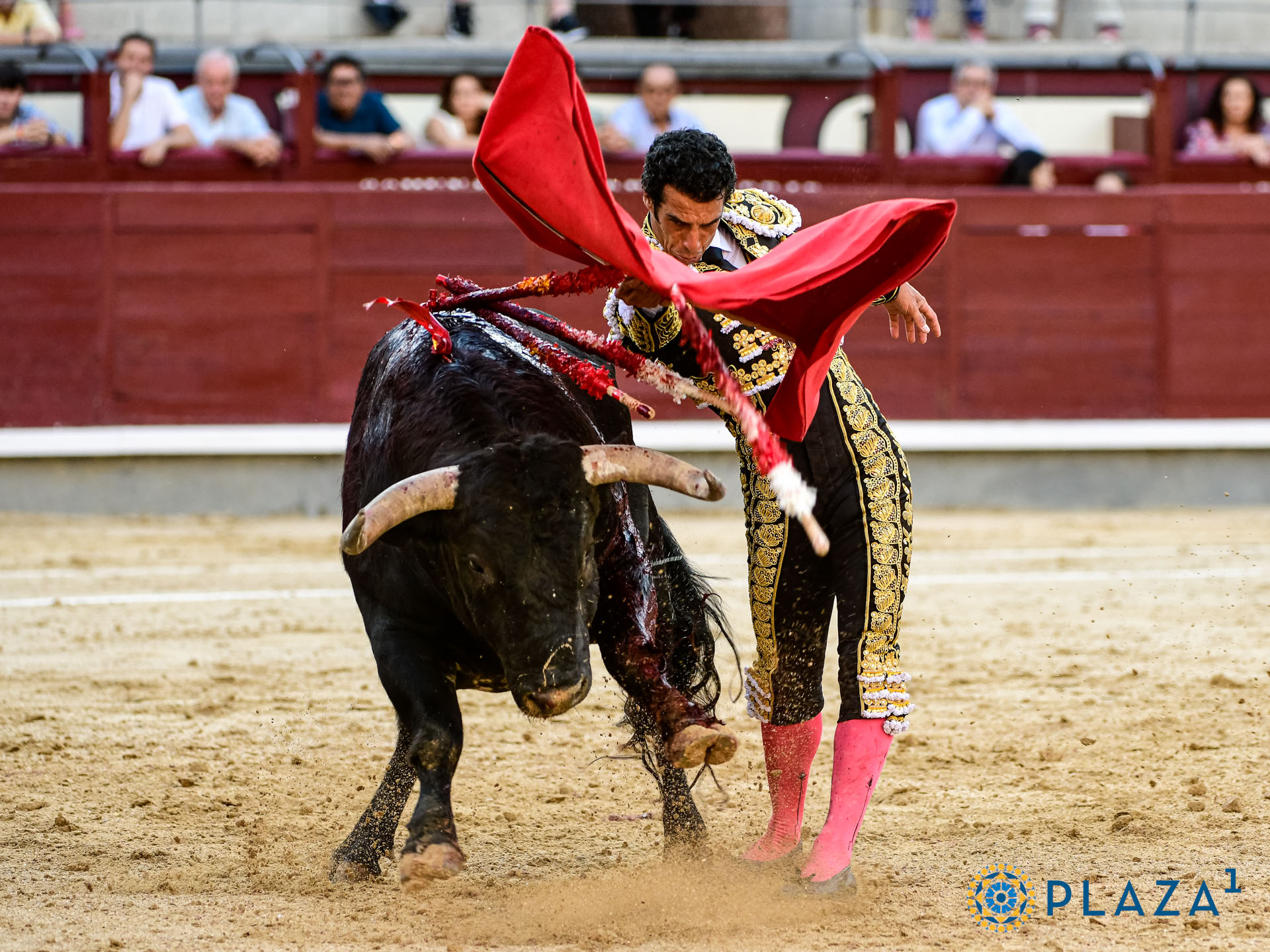 <p>Foto: Alfredo Arévalo / Plaza 1</p>