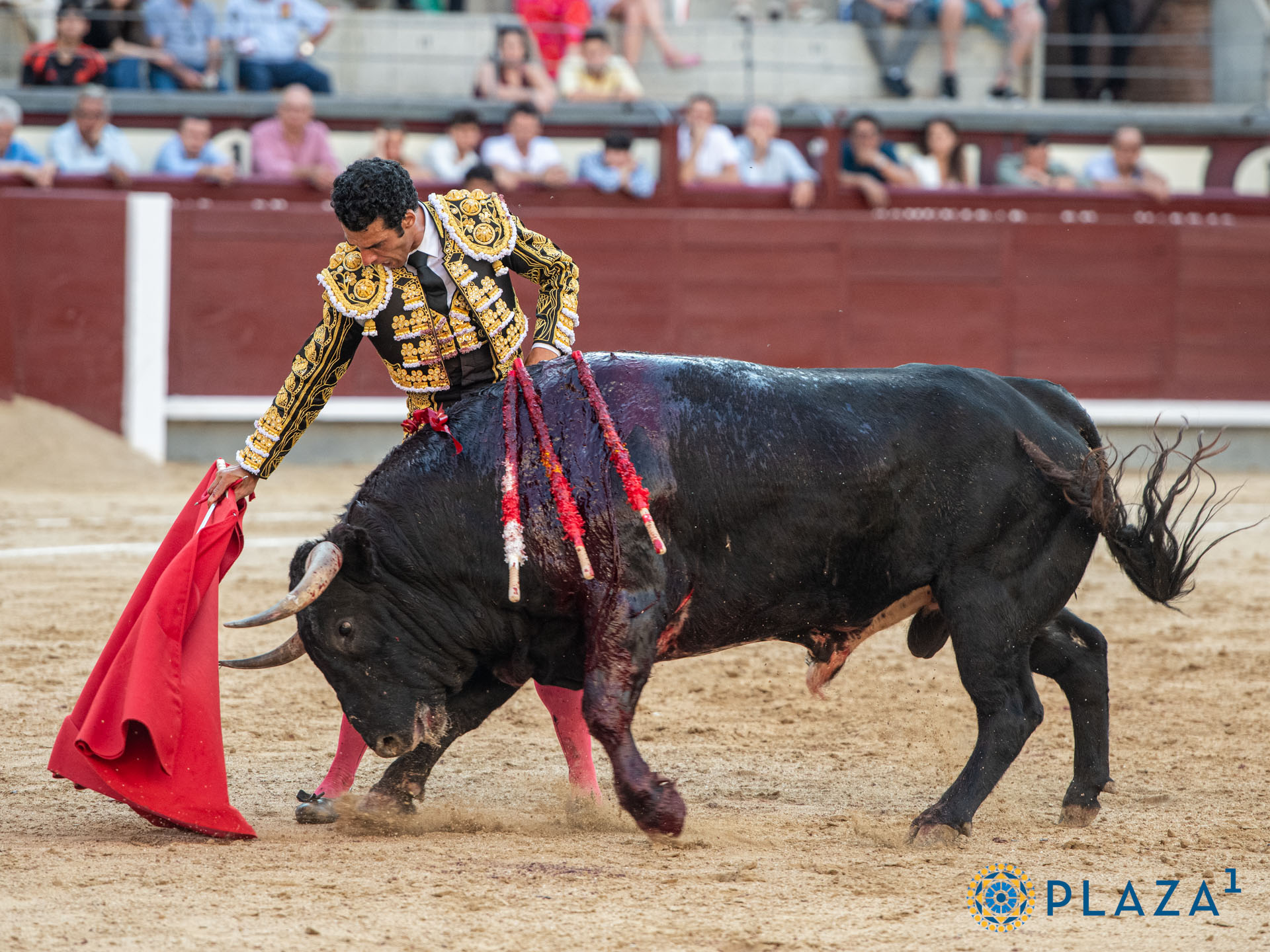 <p>Foto: Alfredo Arévalo / Plaza 1</p>