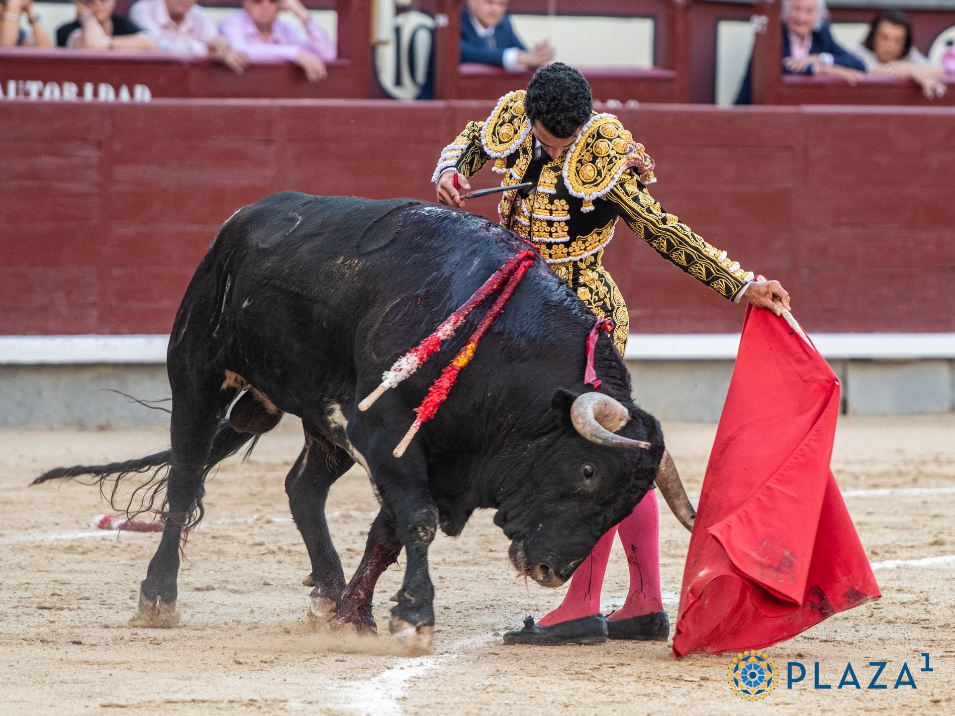 <p>Foto: Alfredo Arévalo / Plaza 1</p>