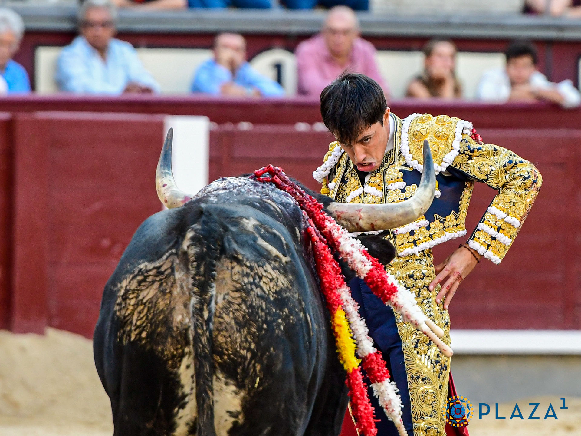 <p>Foto: Alfredo Arévalo / Plaza 1</p>