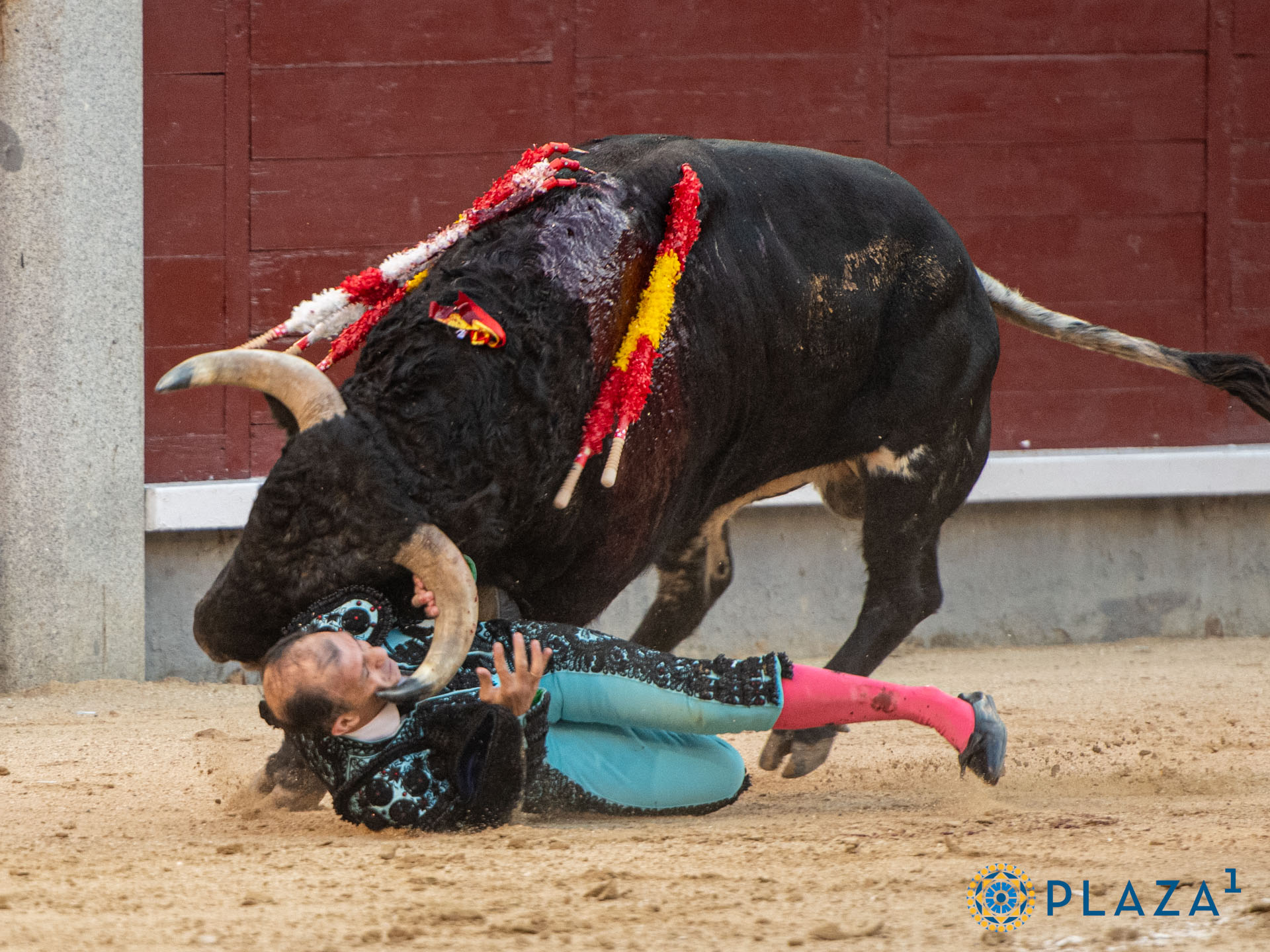 <p>Foto: Alfredo Arévalo / Plaza 1</p>