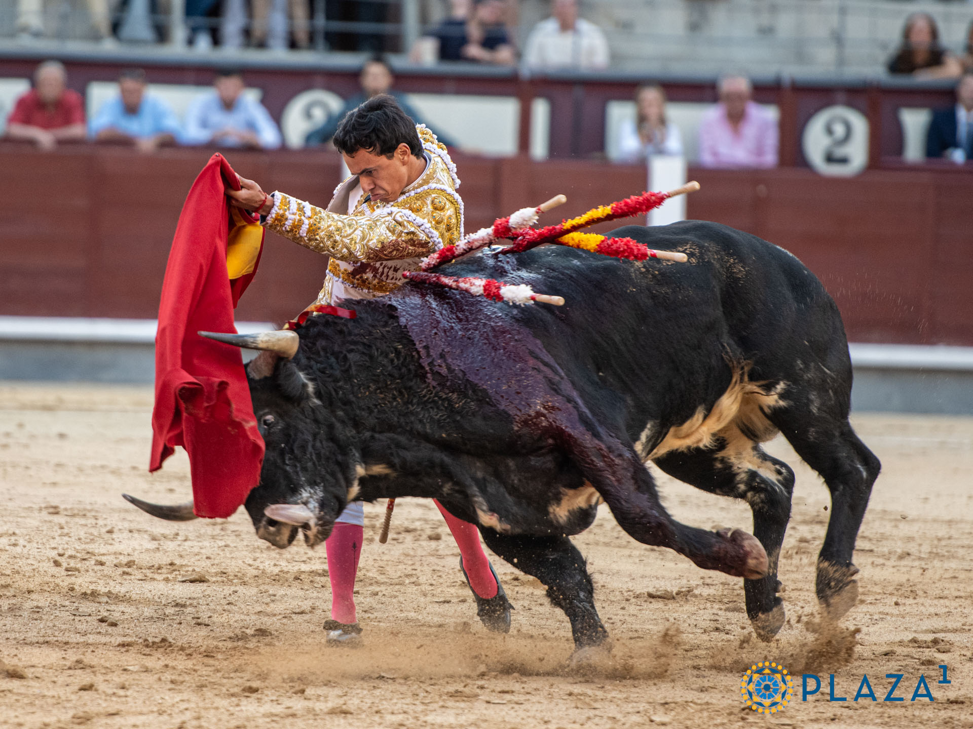 <p>Foto: Alfredo Arévalo / Plaza 1</p>