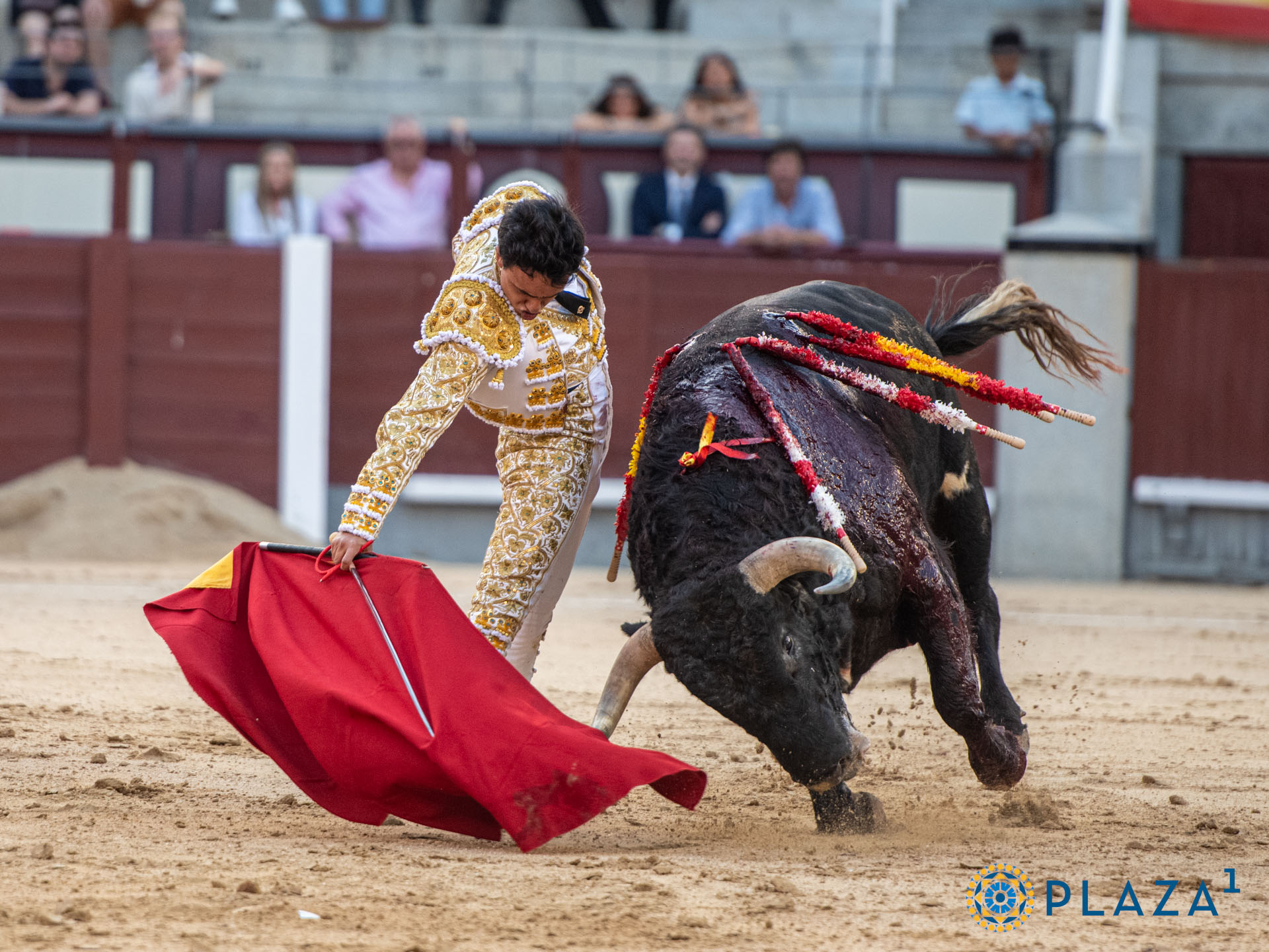 <p>Foto: Alfredo Arévalo / Plaza 1</p>