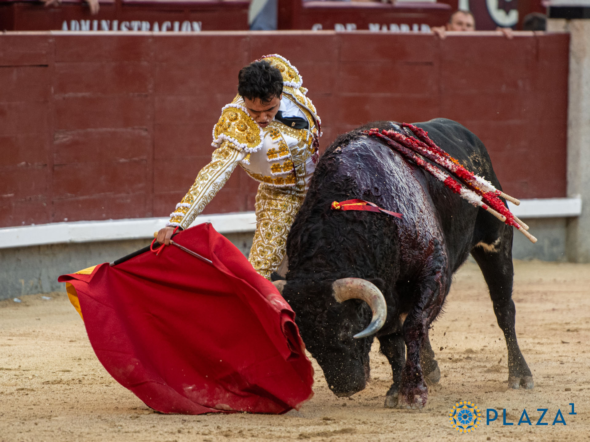 <p>Foto: Alfredo Arévalo / Plaza 1</p>