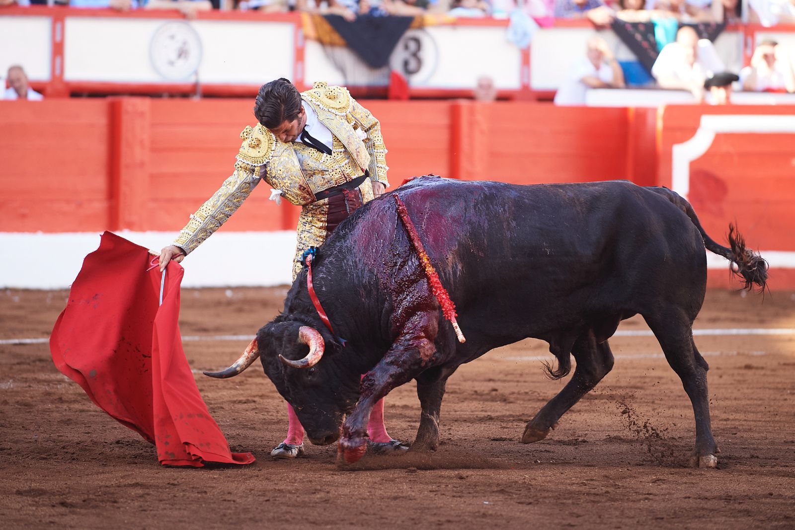 <p>Foto: © César Ortiz</p>