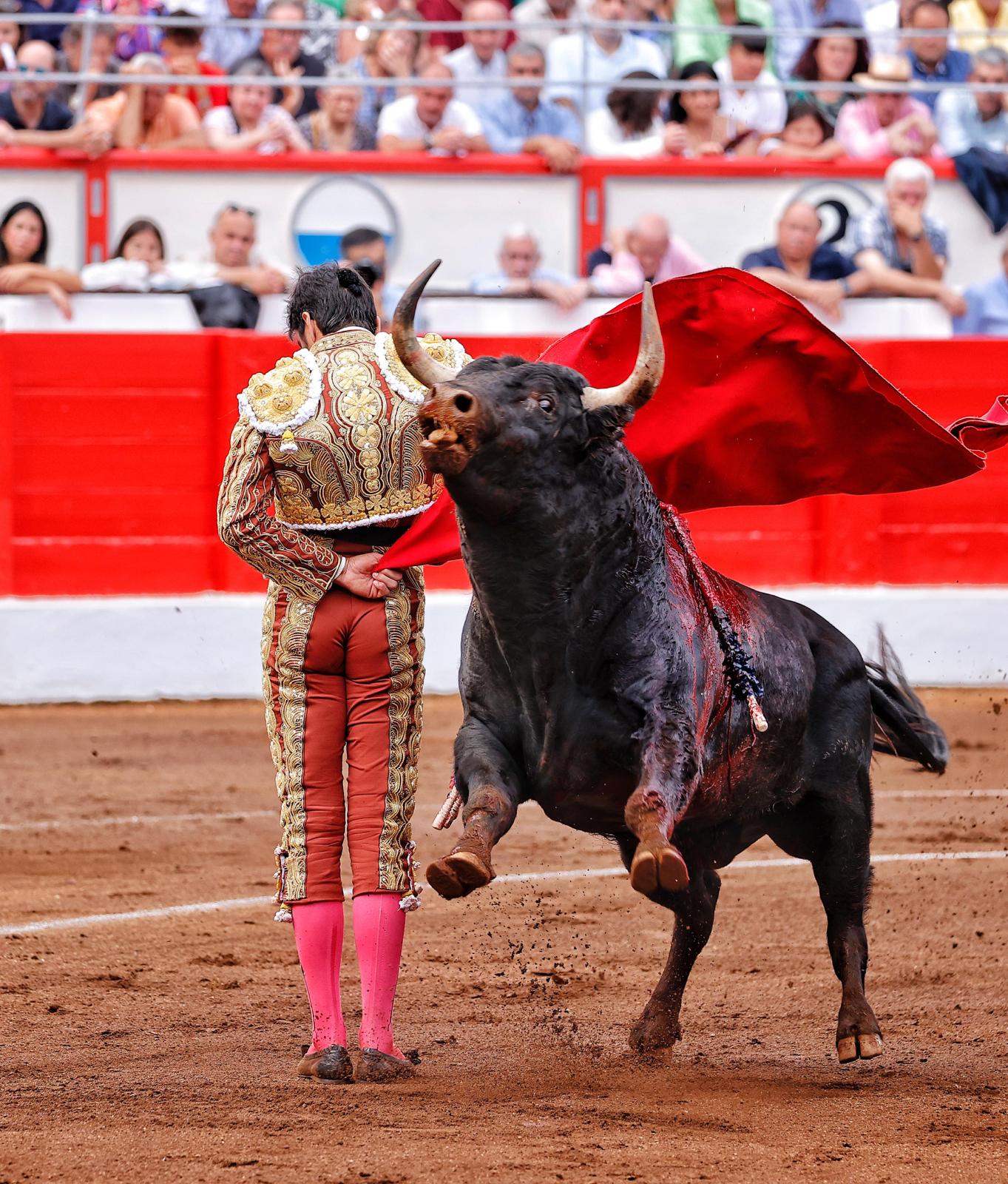 <p>Foto: Lances de Futuro</p>