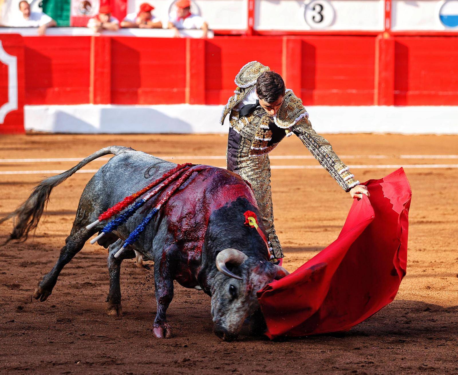 <p>Foto: © Joaquín Arjona</p>
