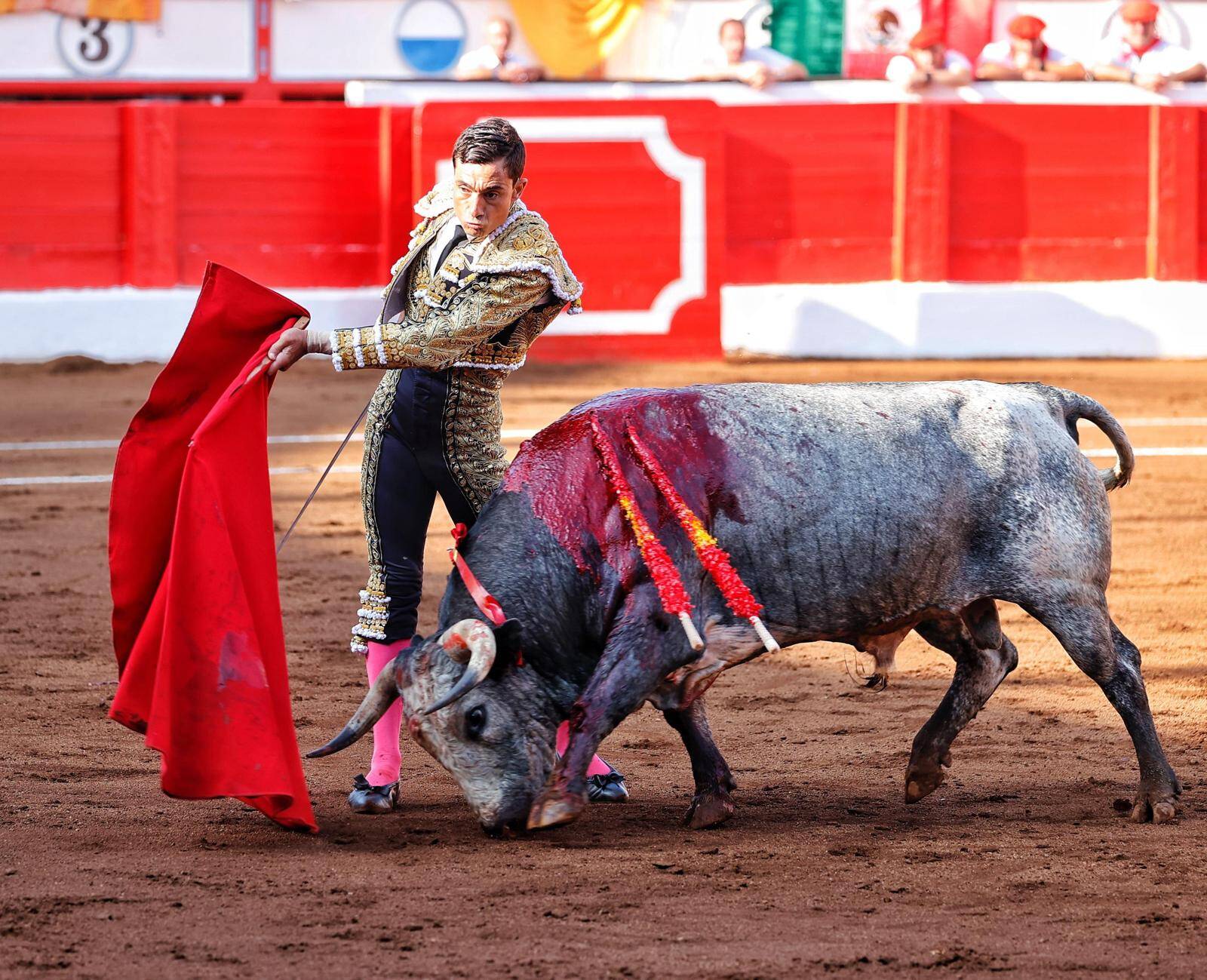 <p>Foto: © Joaquín Arjona</p>