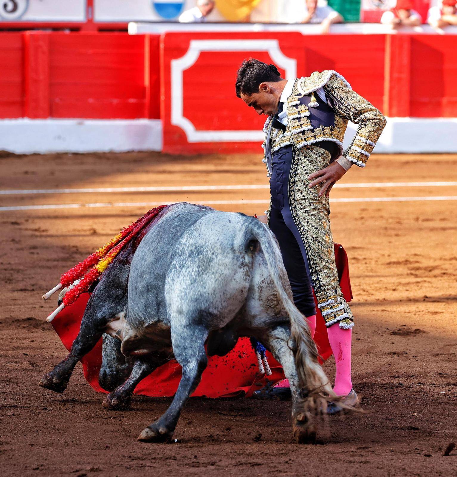 <p>Foto: © Joaquín Arjona</p>