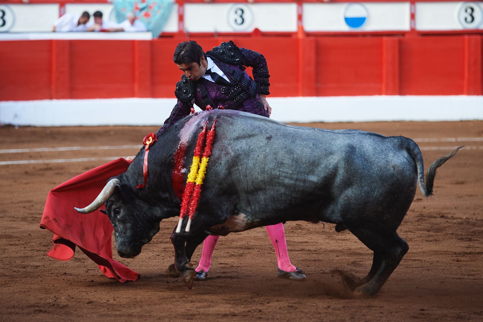 <p>Foto: © César Ortiz</p>