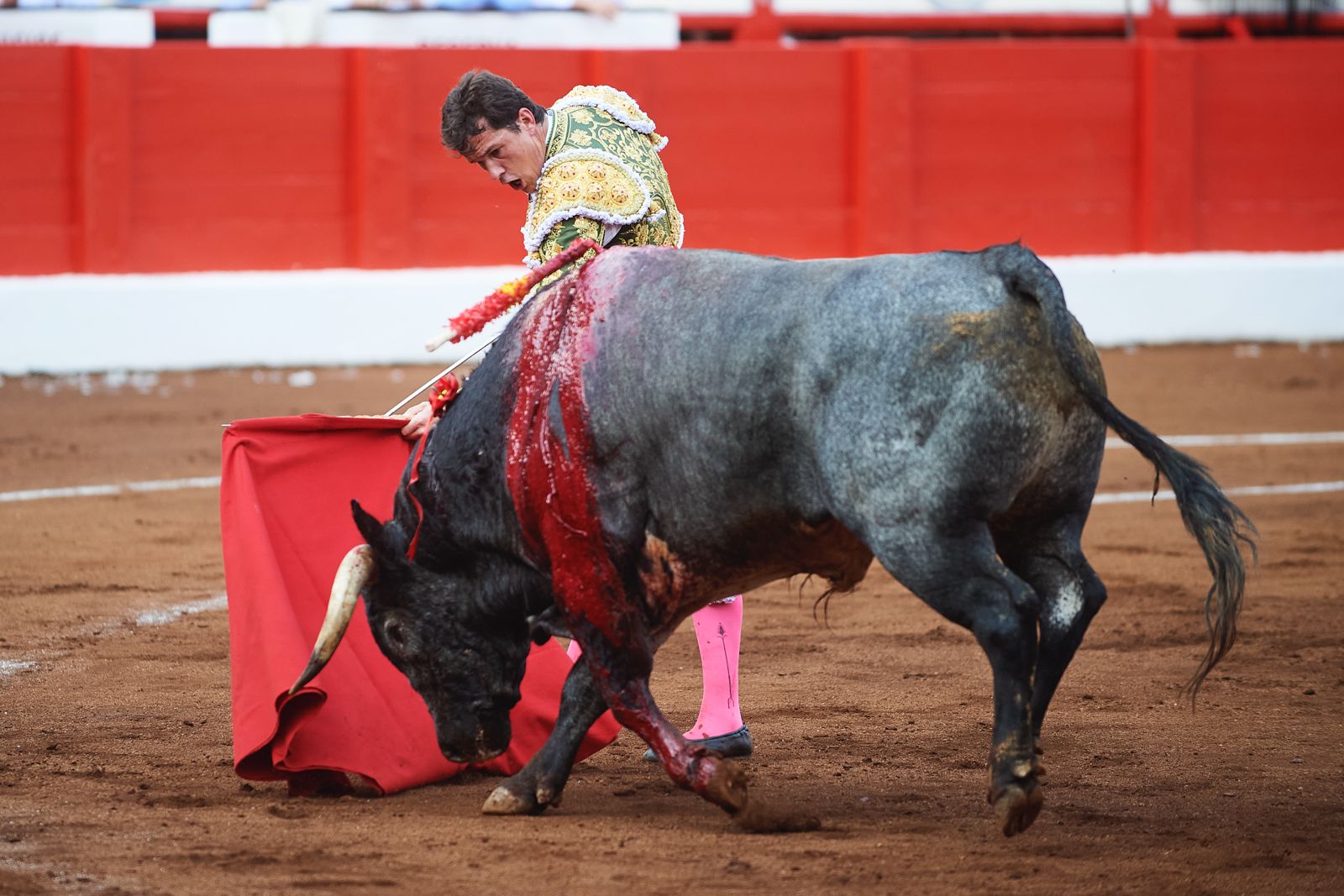 <p>Foto: © César Ortiz</p>